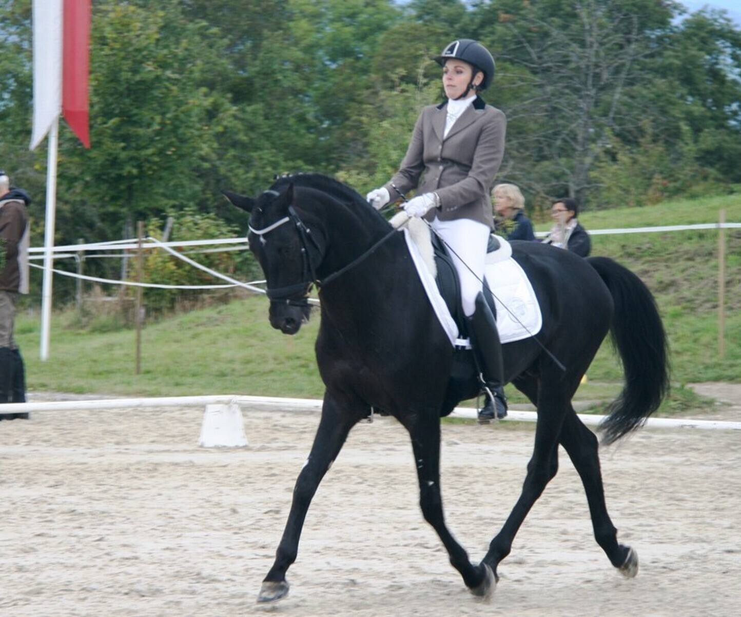 Description de l'image