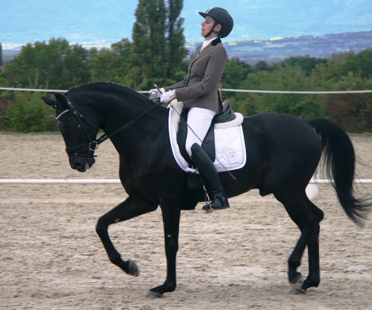 Description de l'image