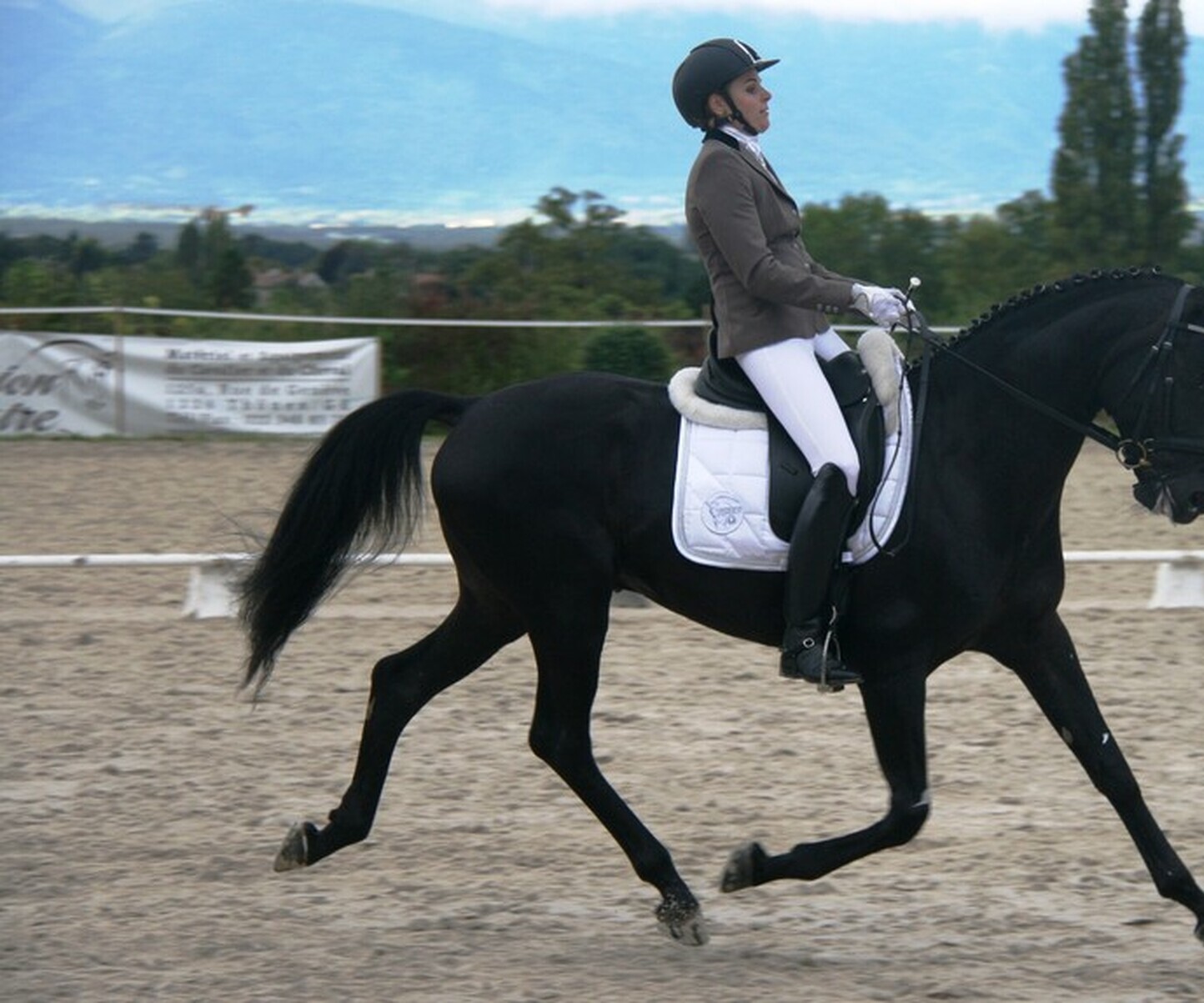 Description de l'image