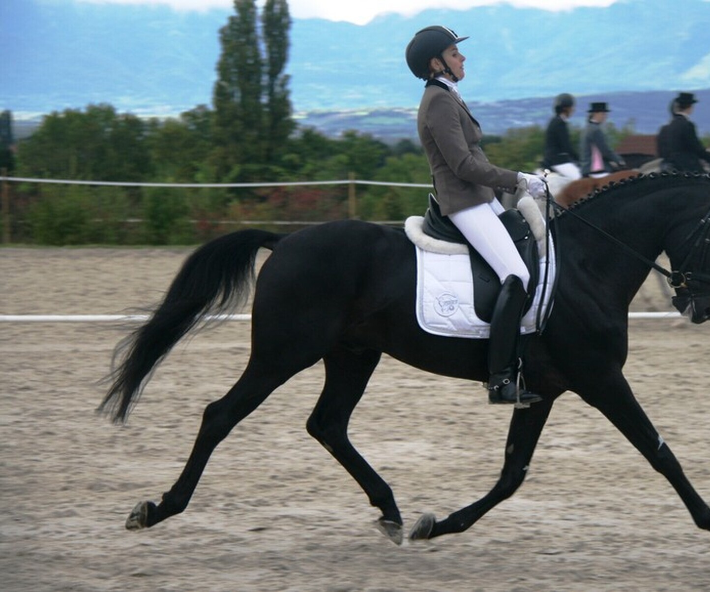 Description de l'image