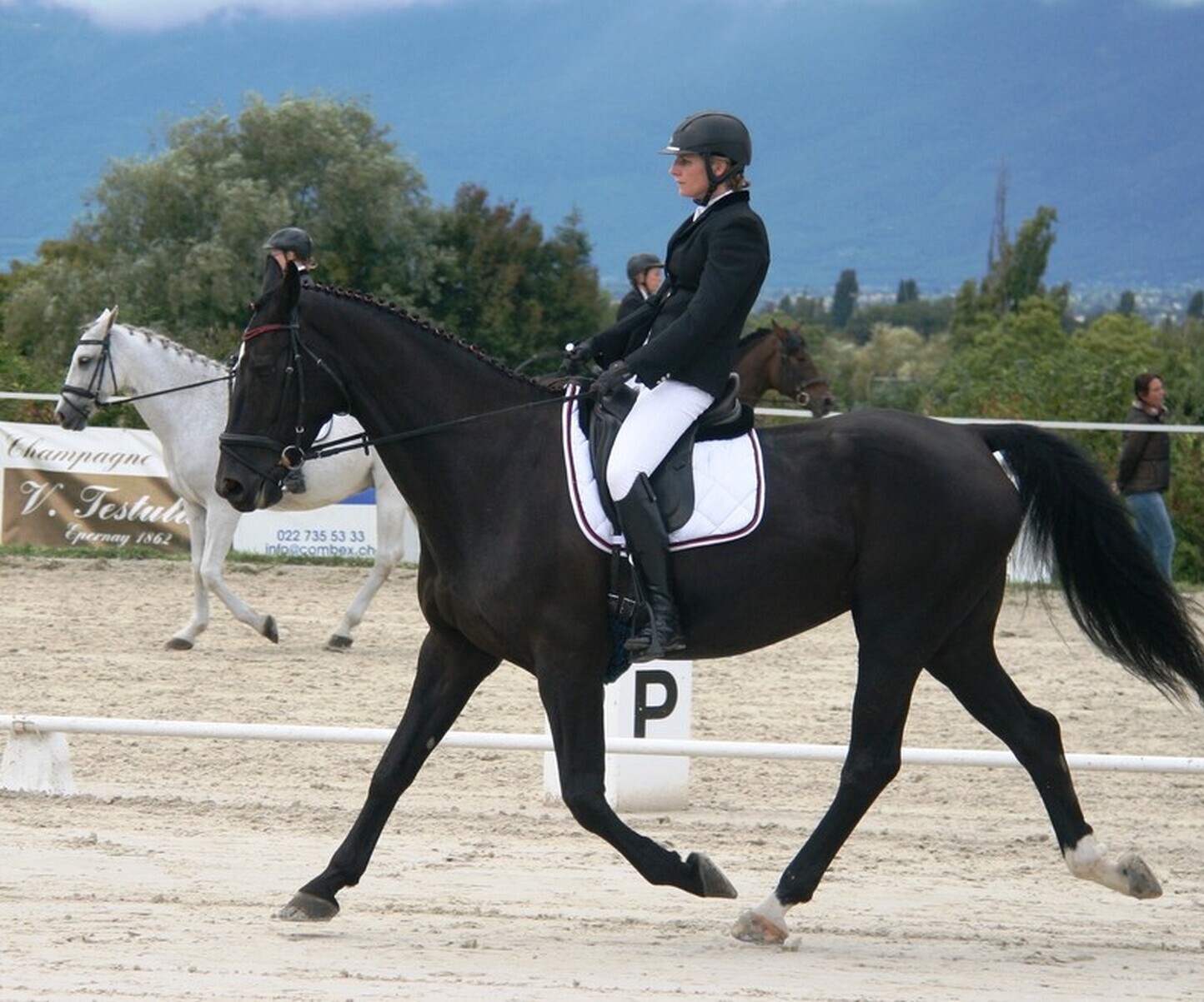 Description de l'image