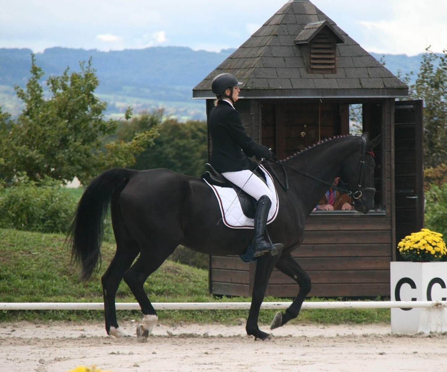 Description de l'image