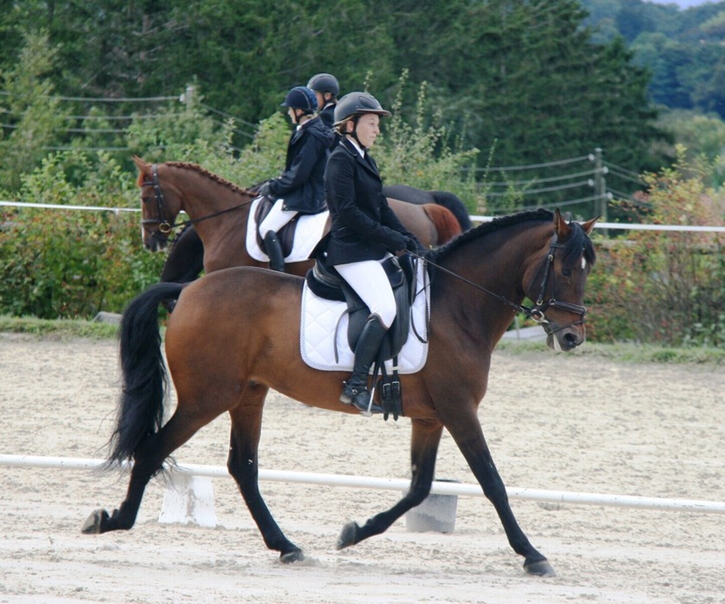 Description de l'image