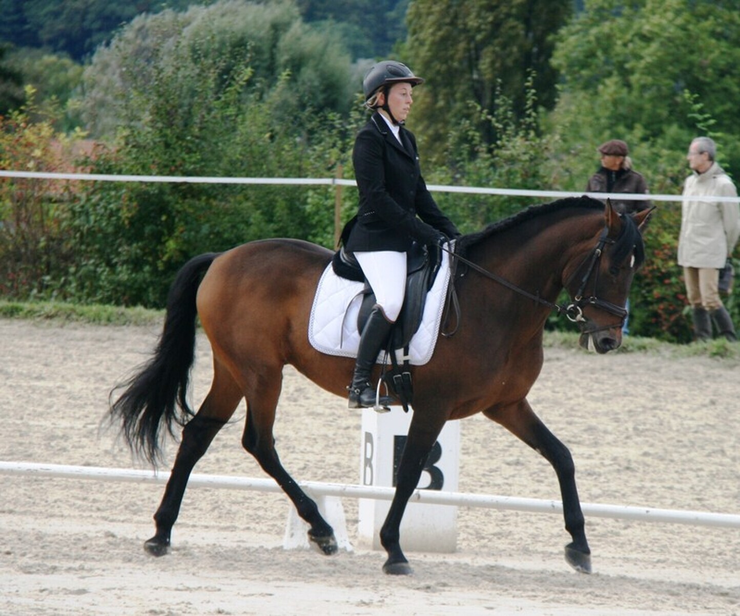 Description de l'image