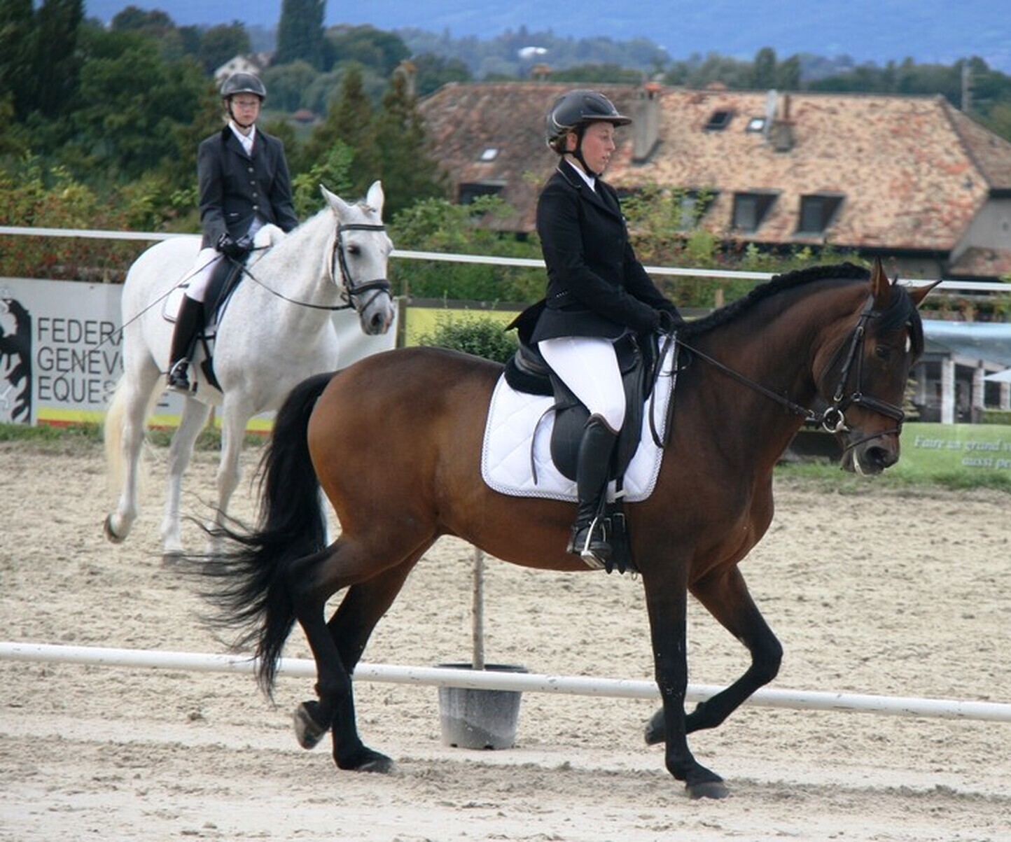 Description de l'image