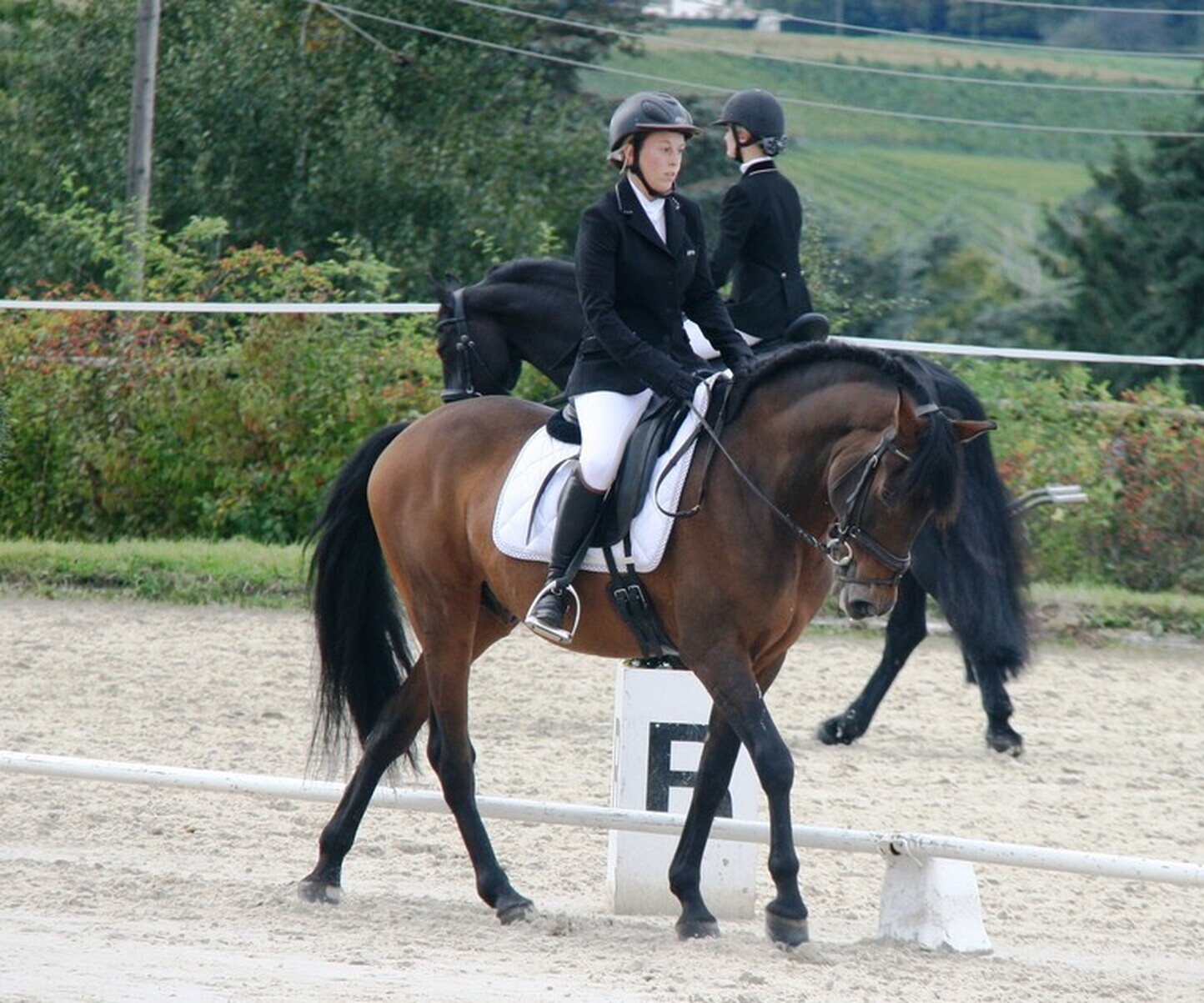 Description de l'image