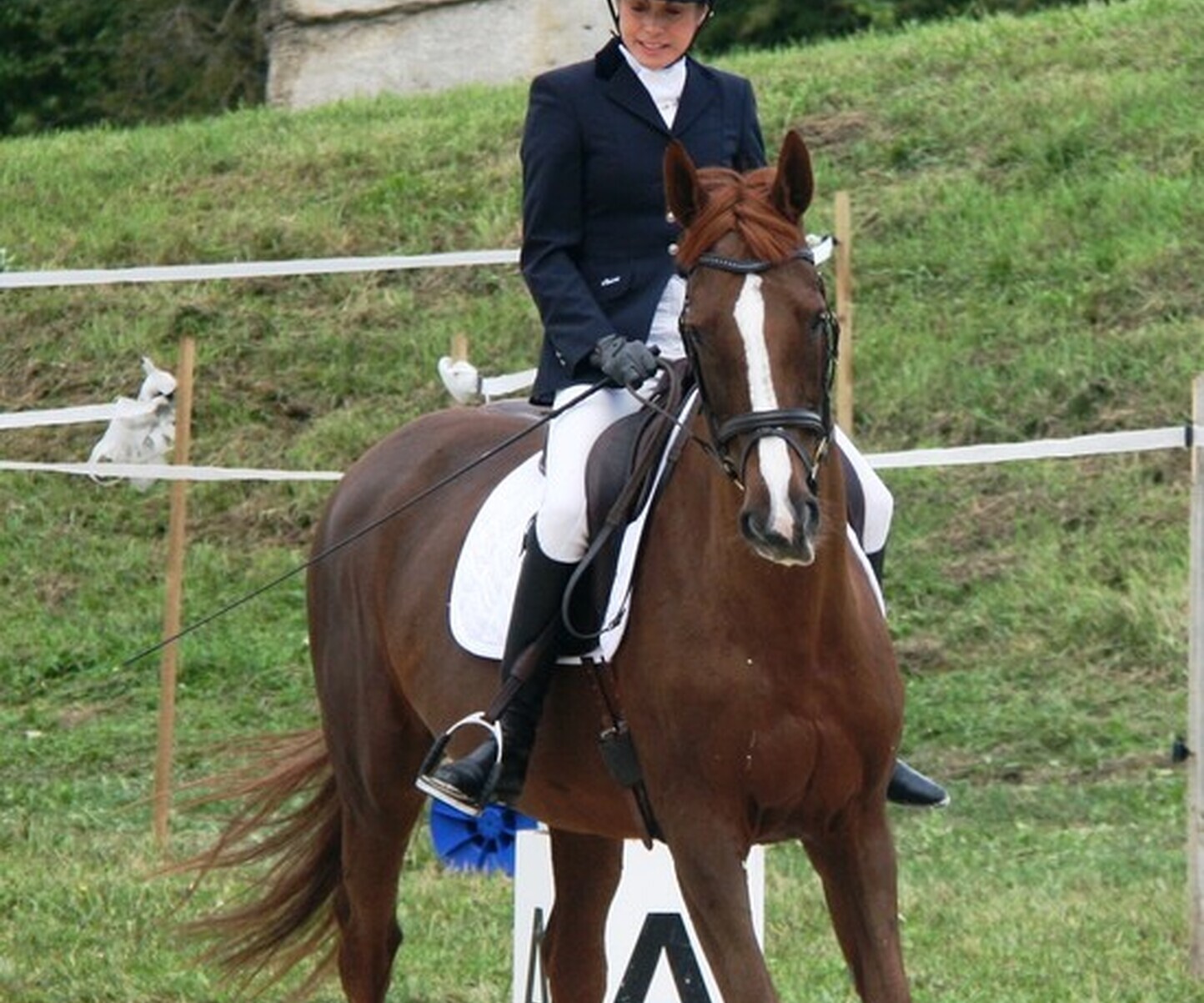 Description de l'image