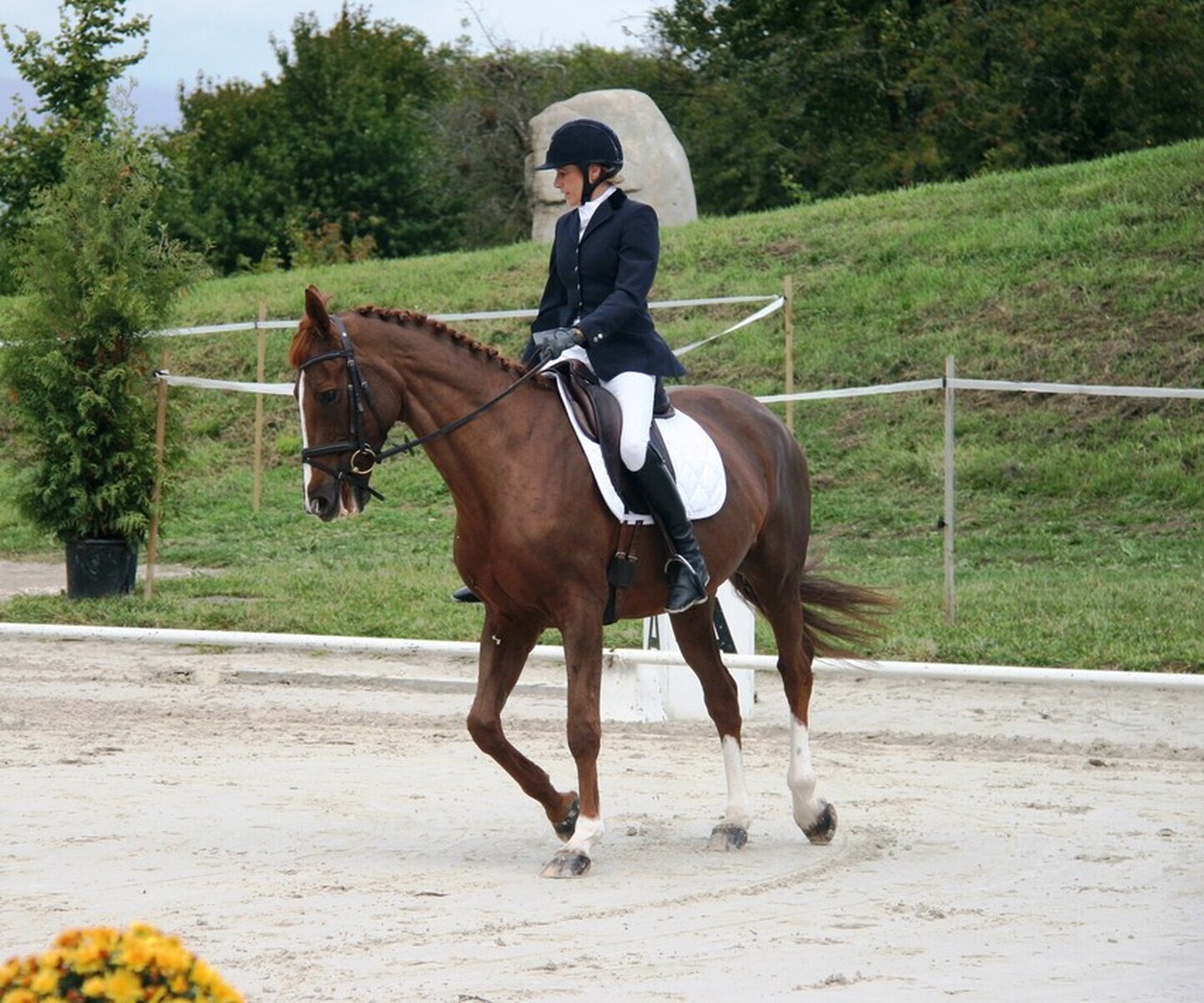 Description de l'image