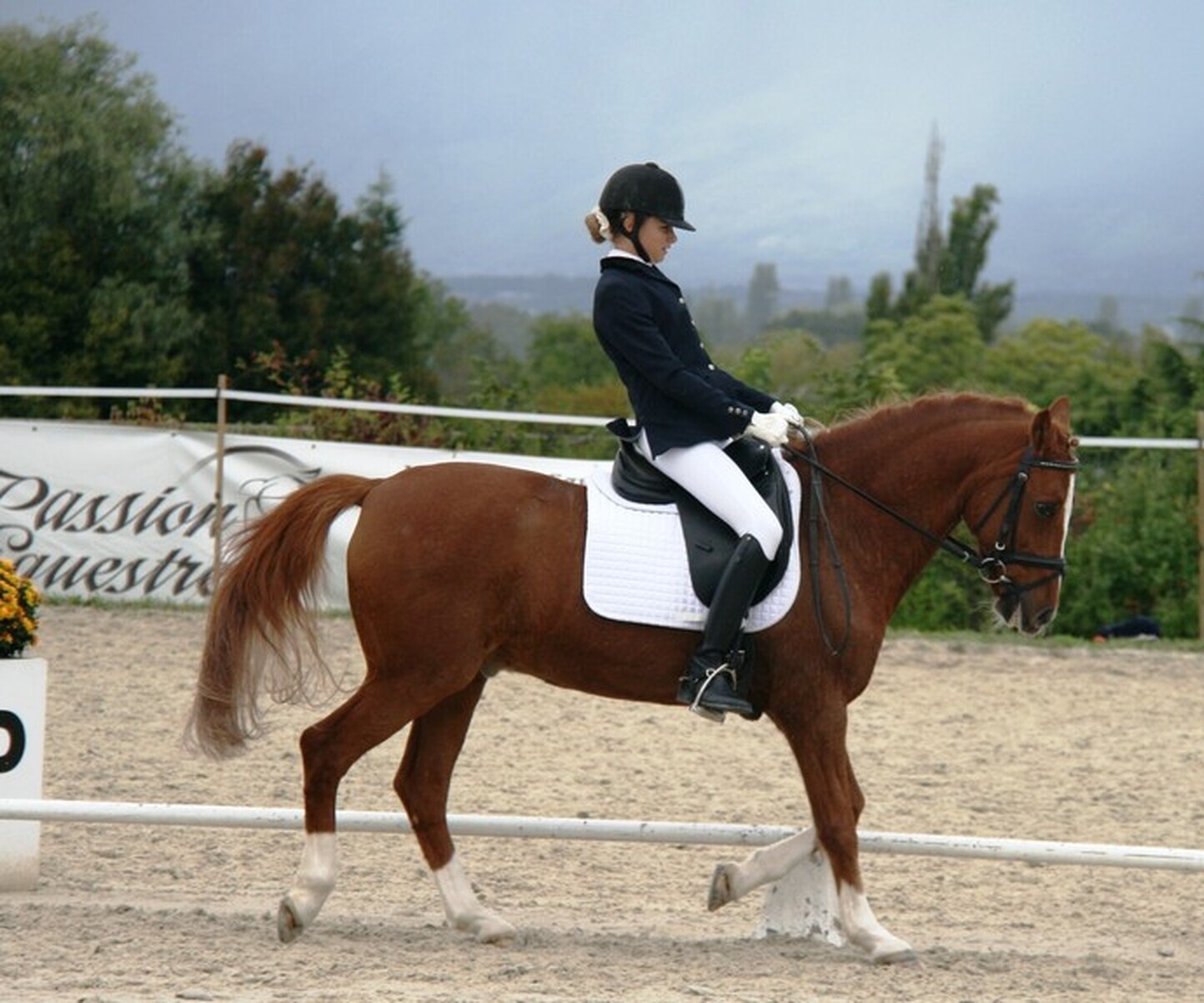 Description de l'image