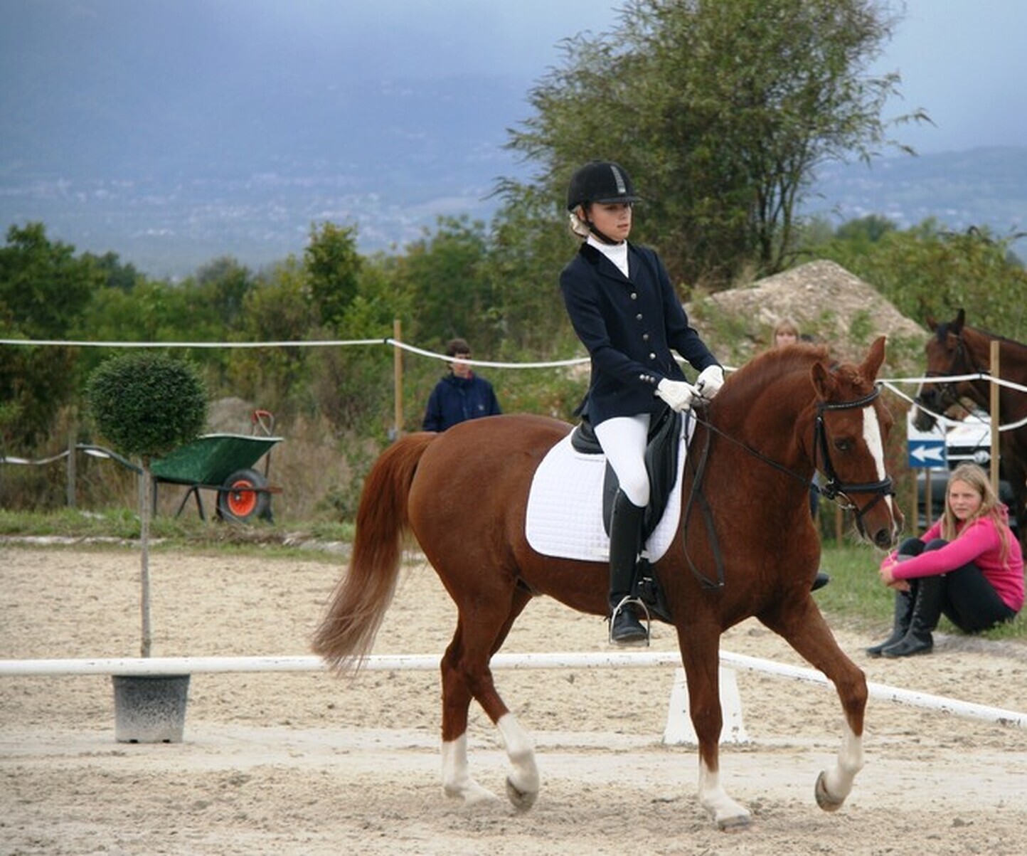 Description de l'image