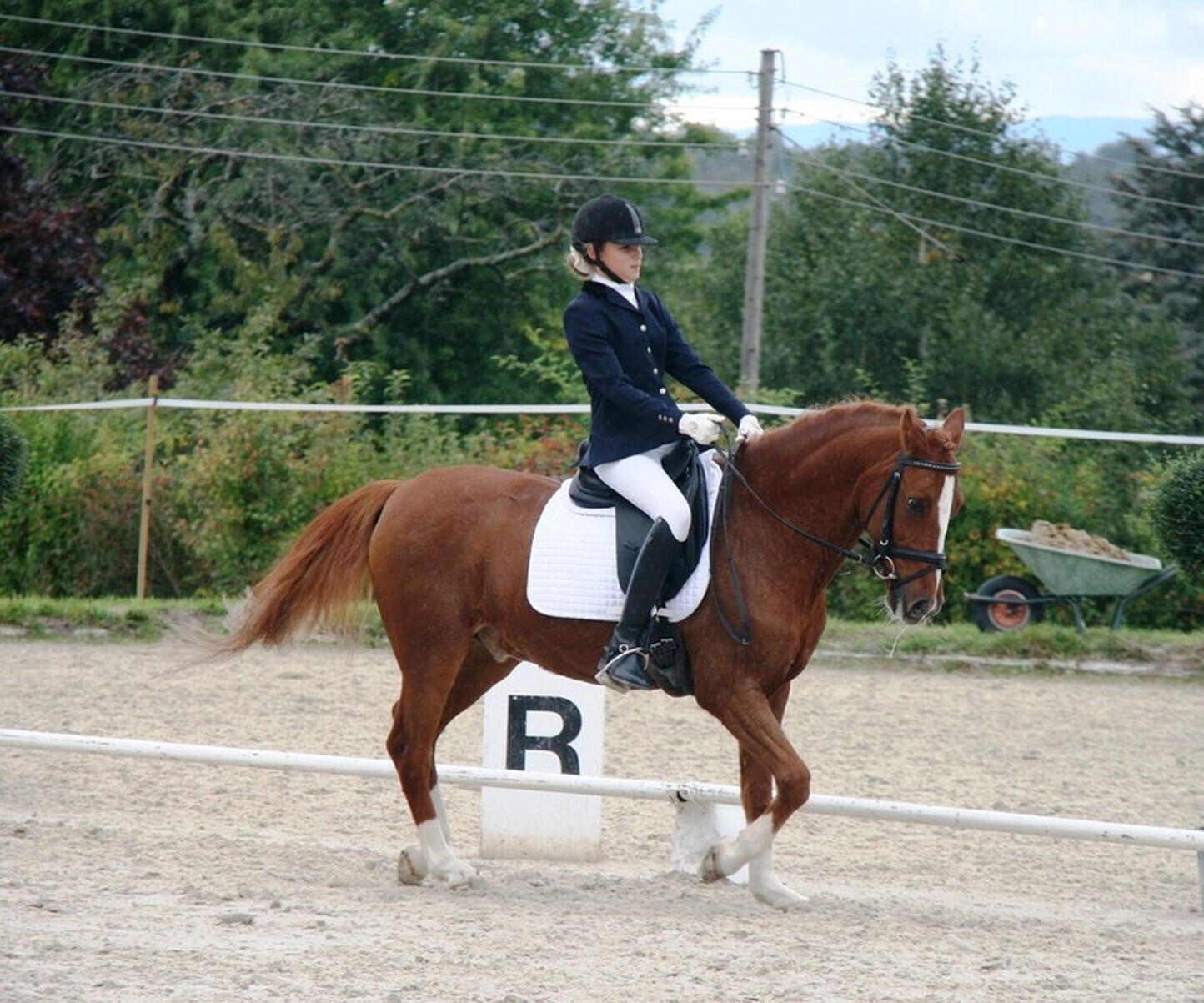 Description de l'image