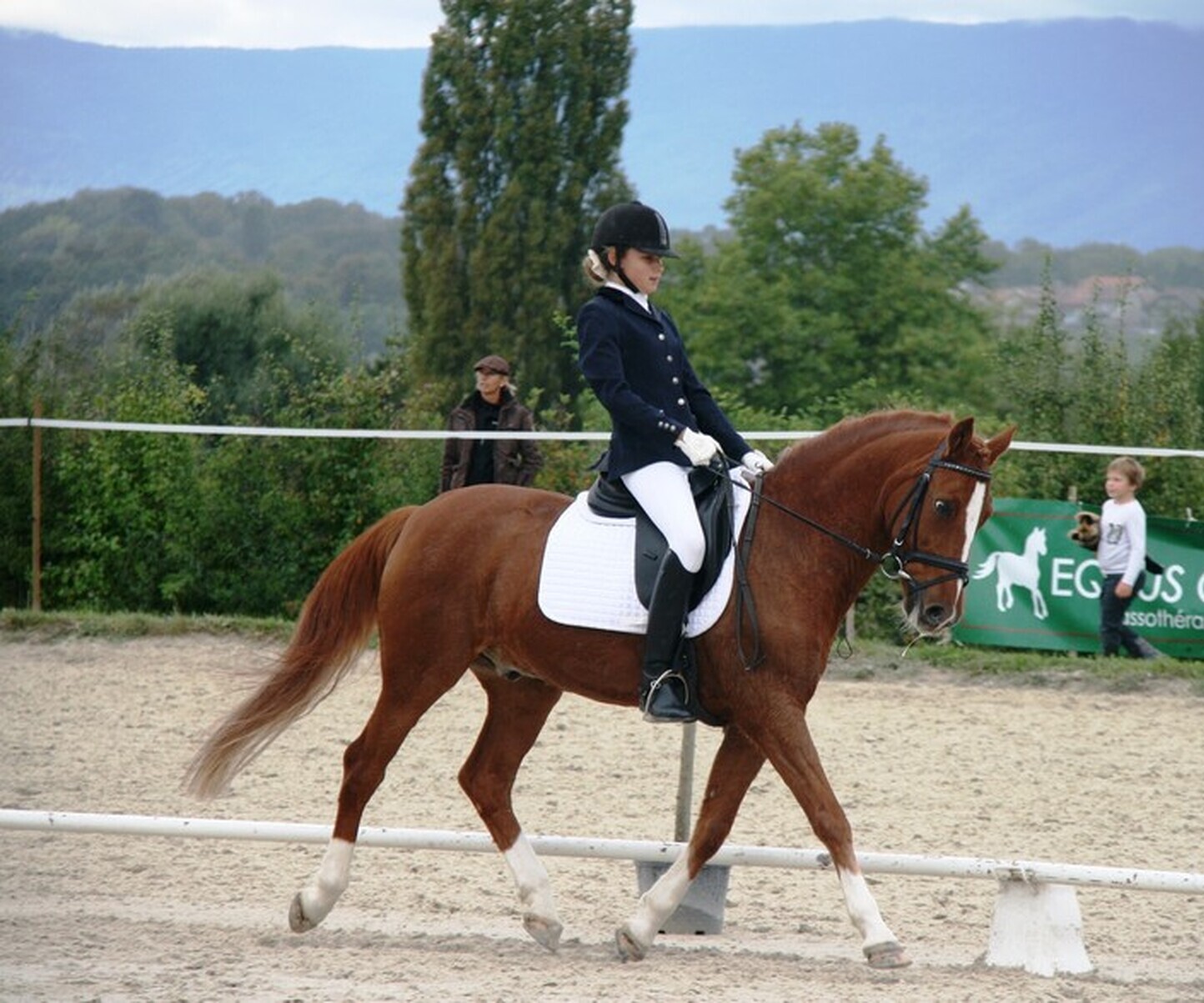 Description de l'image