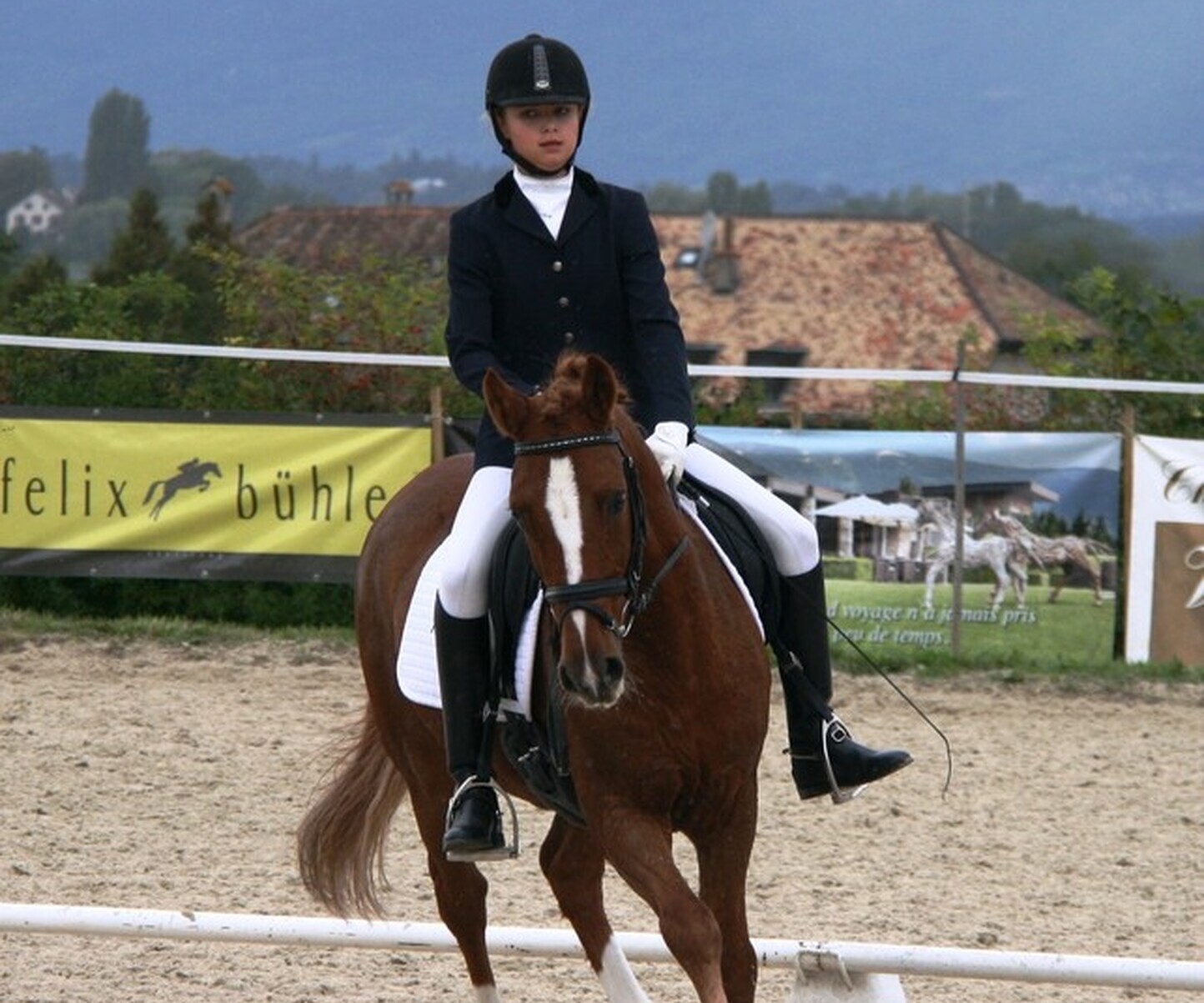 Description de l'image