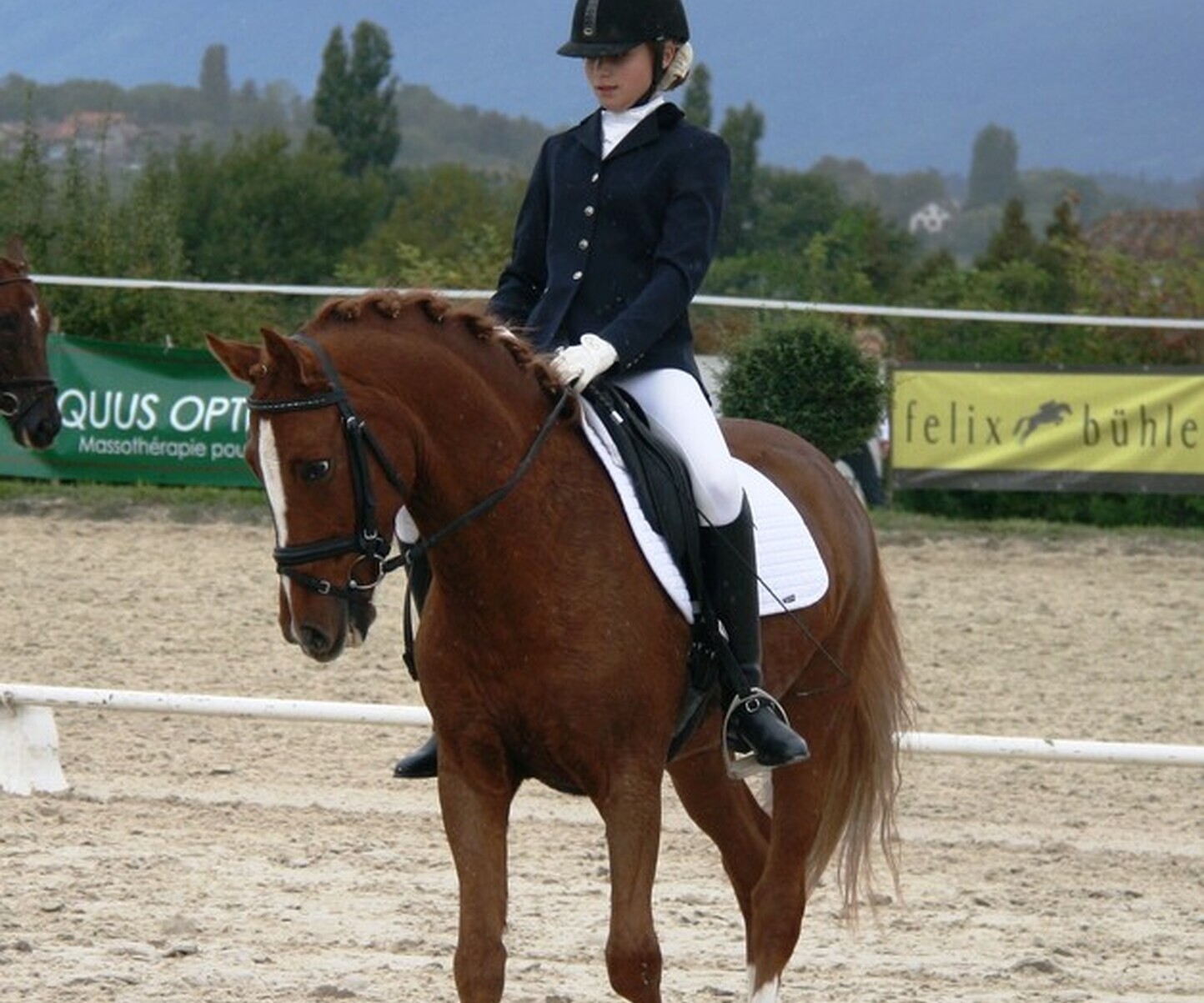 Description de l'image