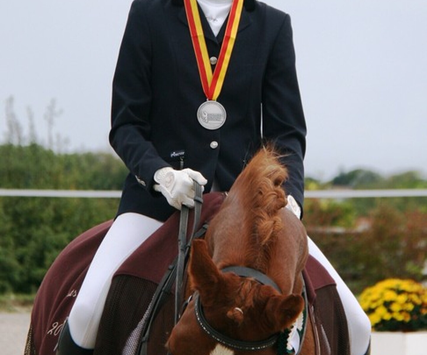 Description de l'image