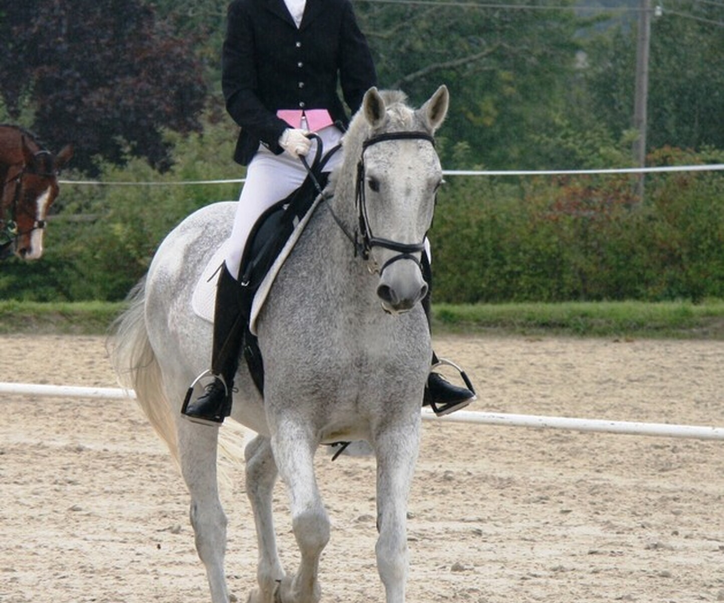 Description de l'image