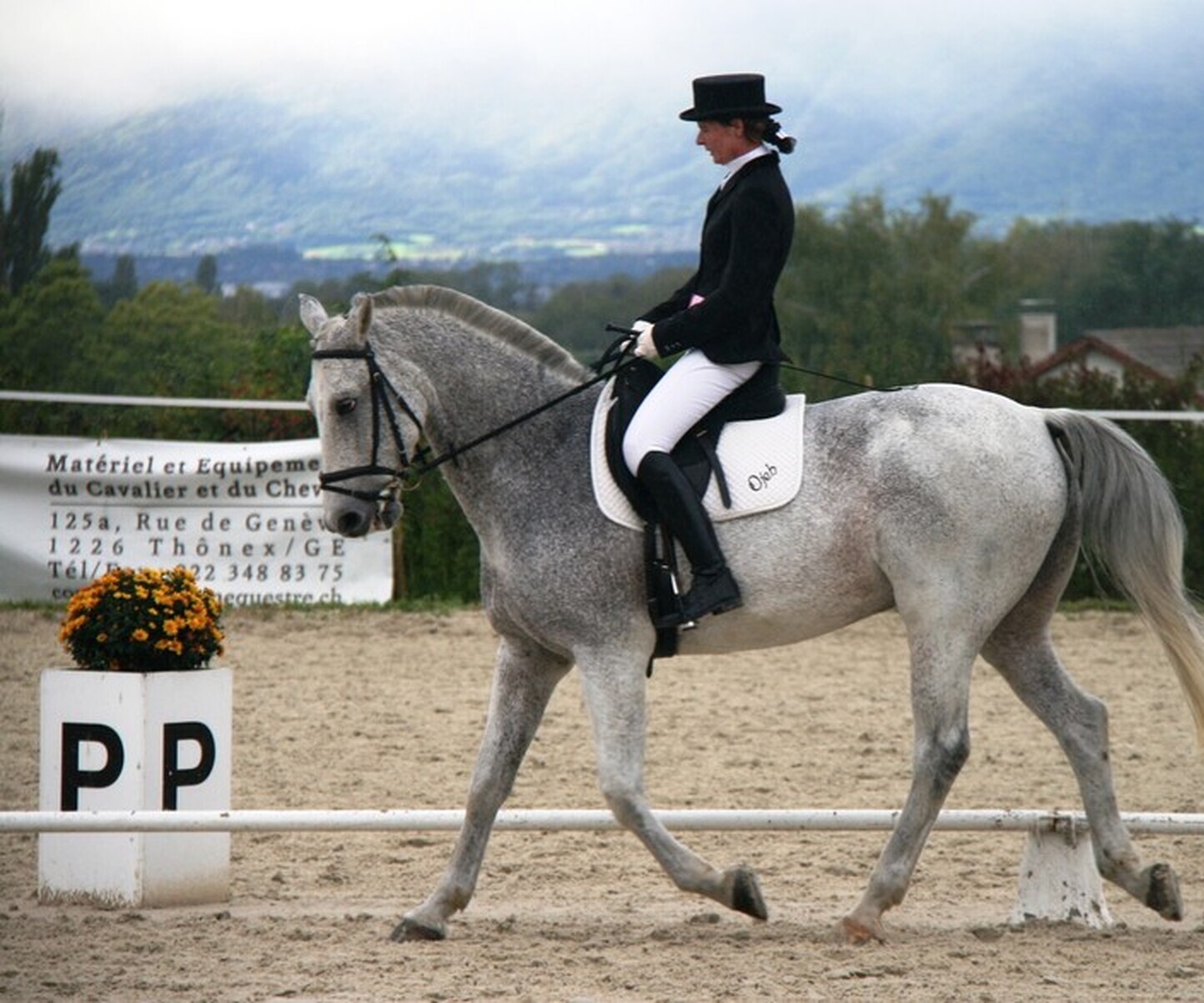 Description de l'image