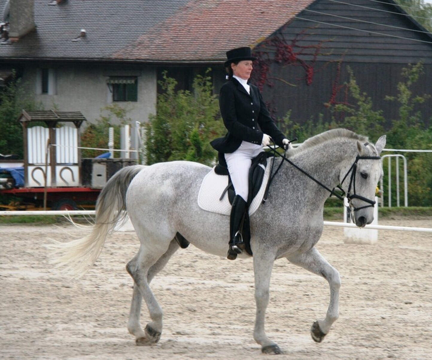 Description de l'image