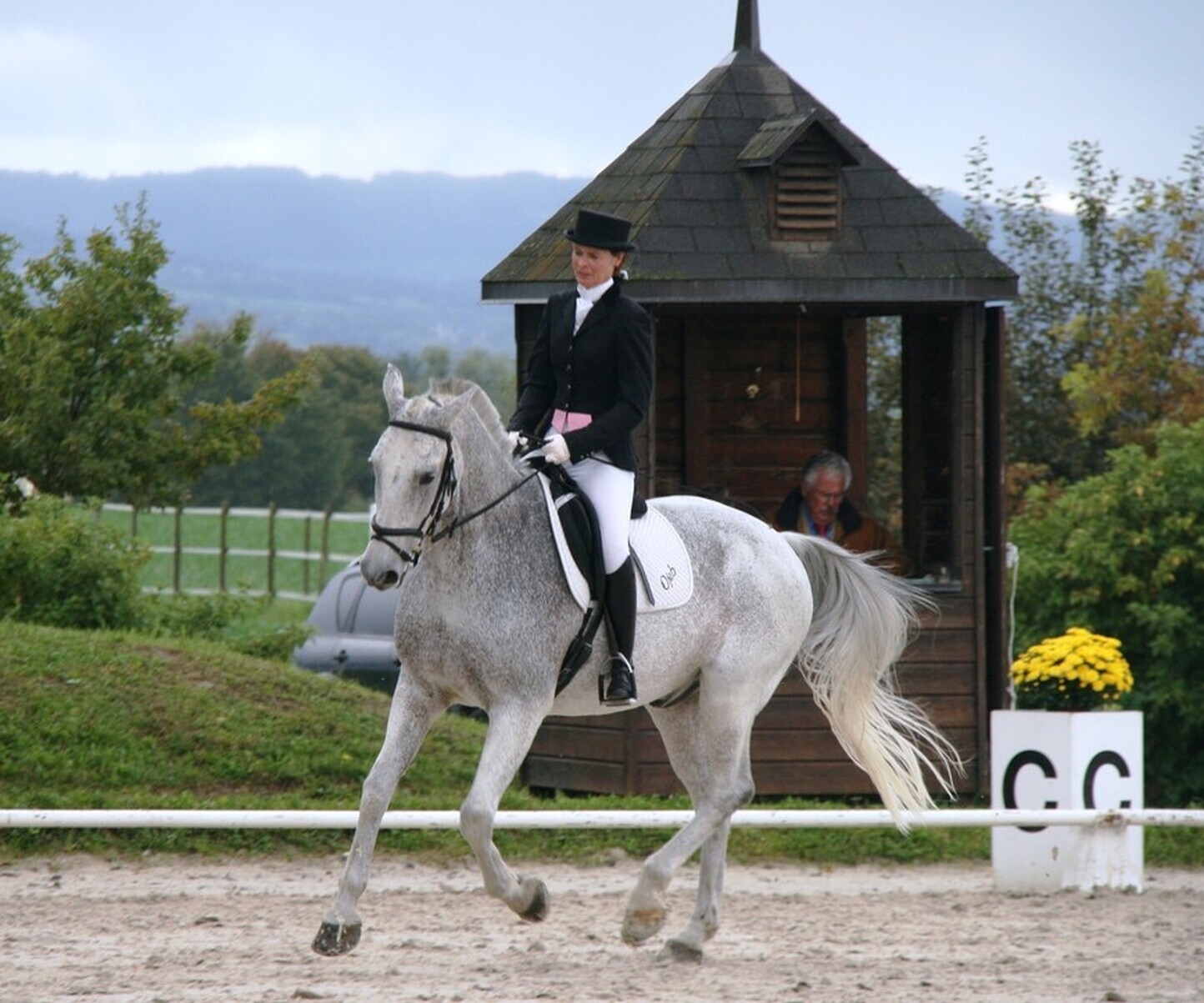 Description de l'image