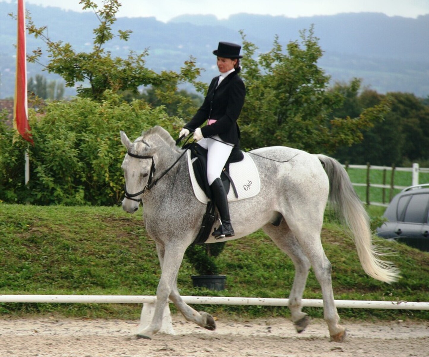 Description de l'image