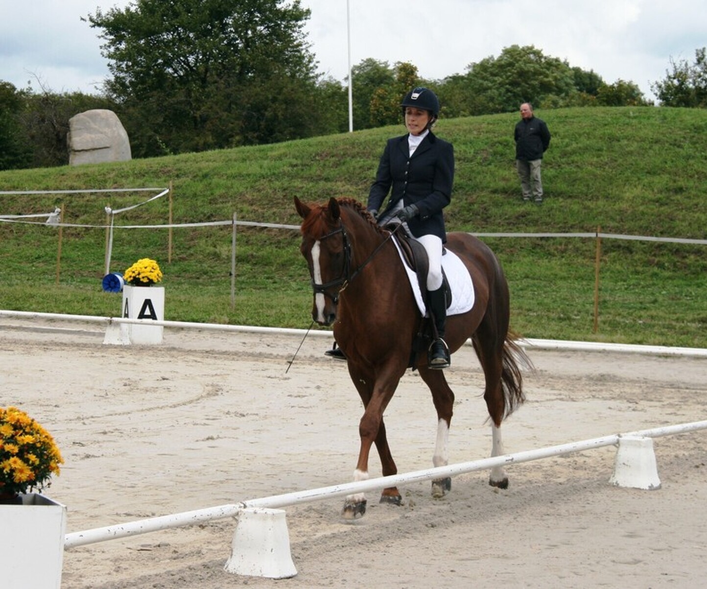 Description de l'image