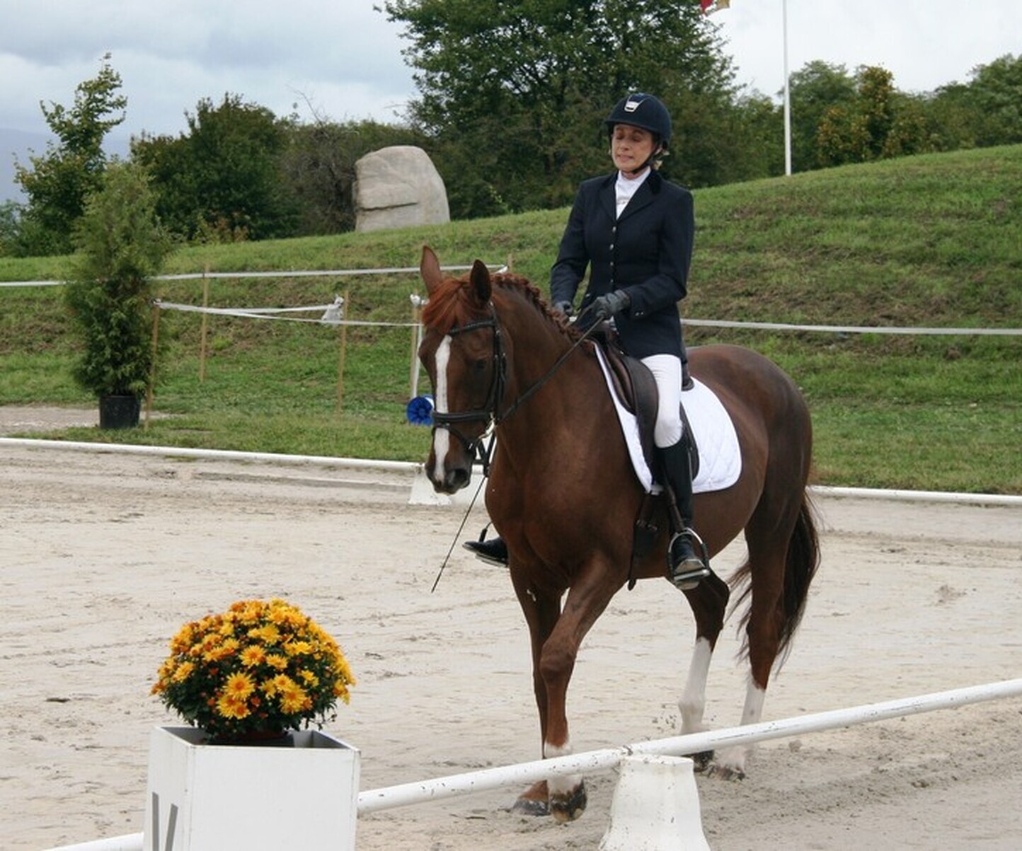 Description de l'image