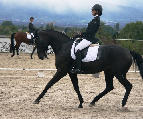 Finales Dressage Hauts de Corsinge