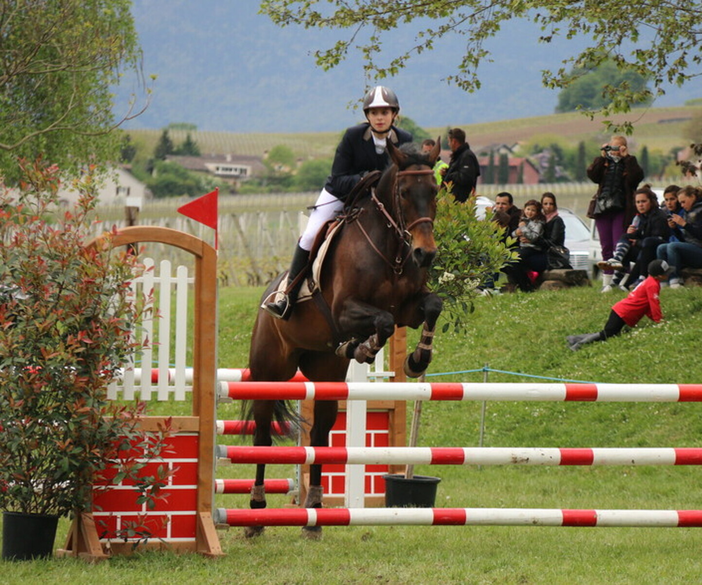 Description de l'image