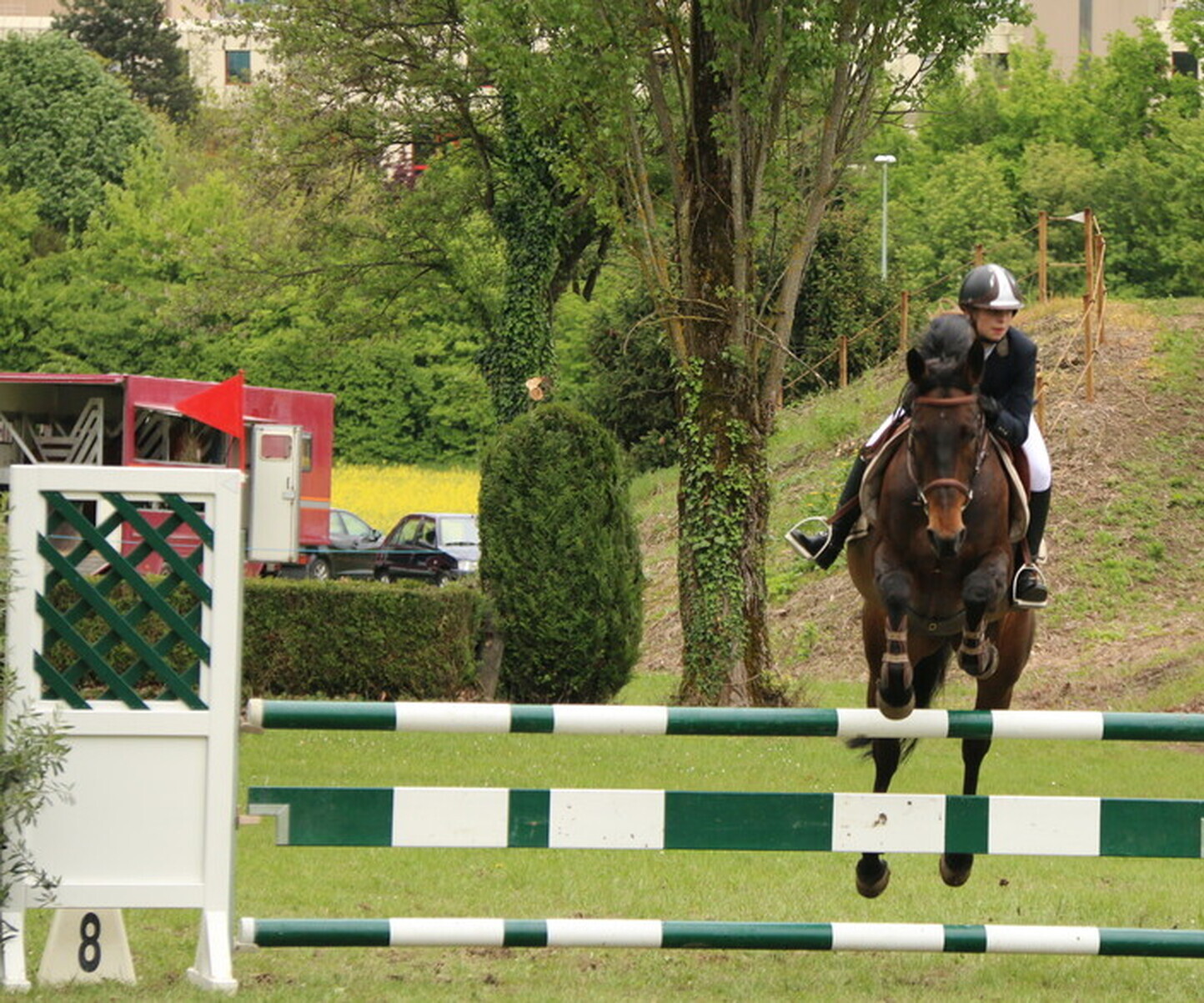 Description de l'image