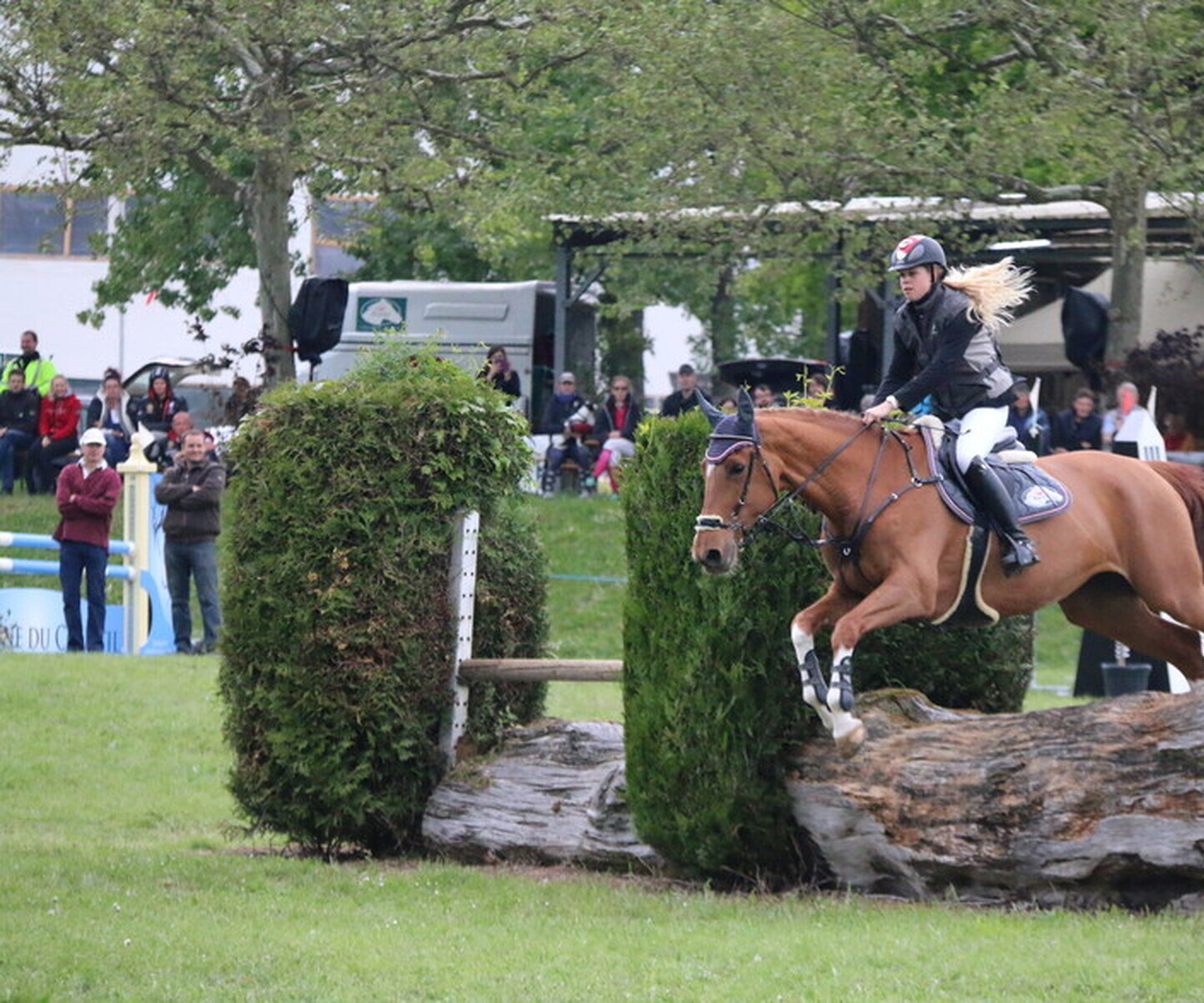 Description de l'image