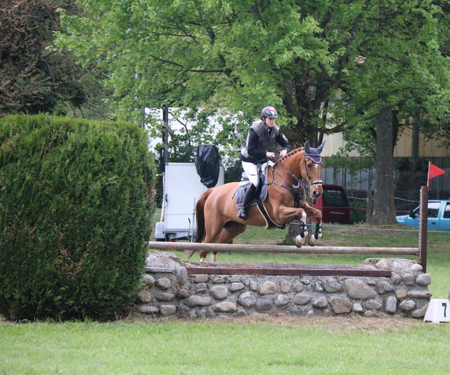 Description de l'image