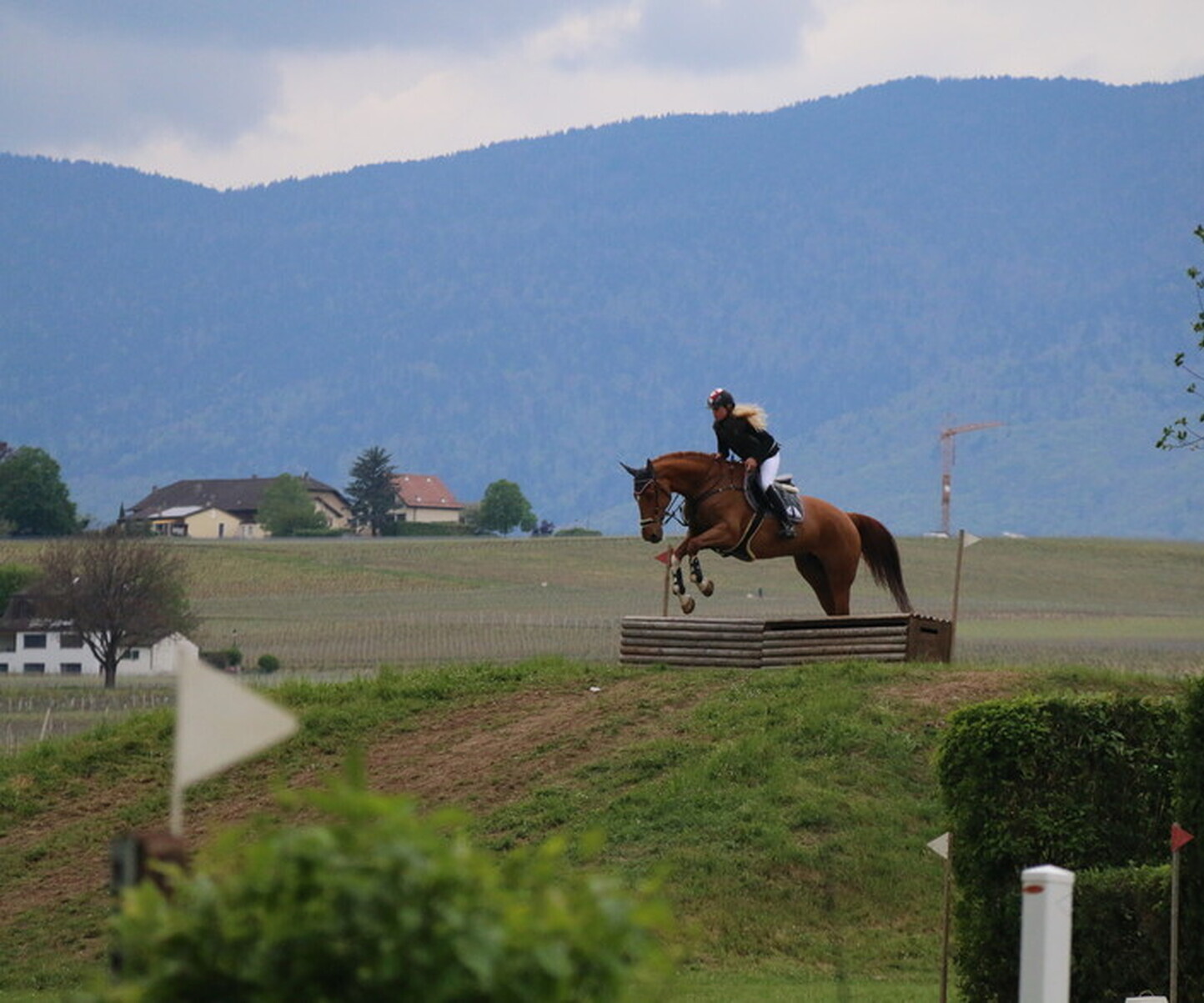 Description de l'image