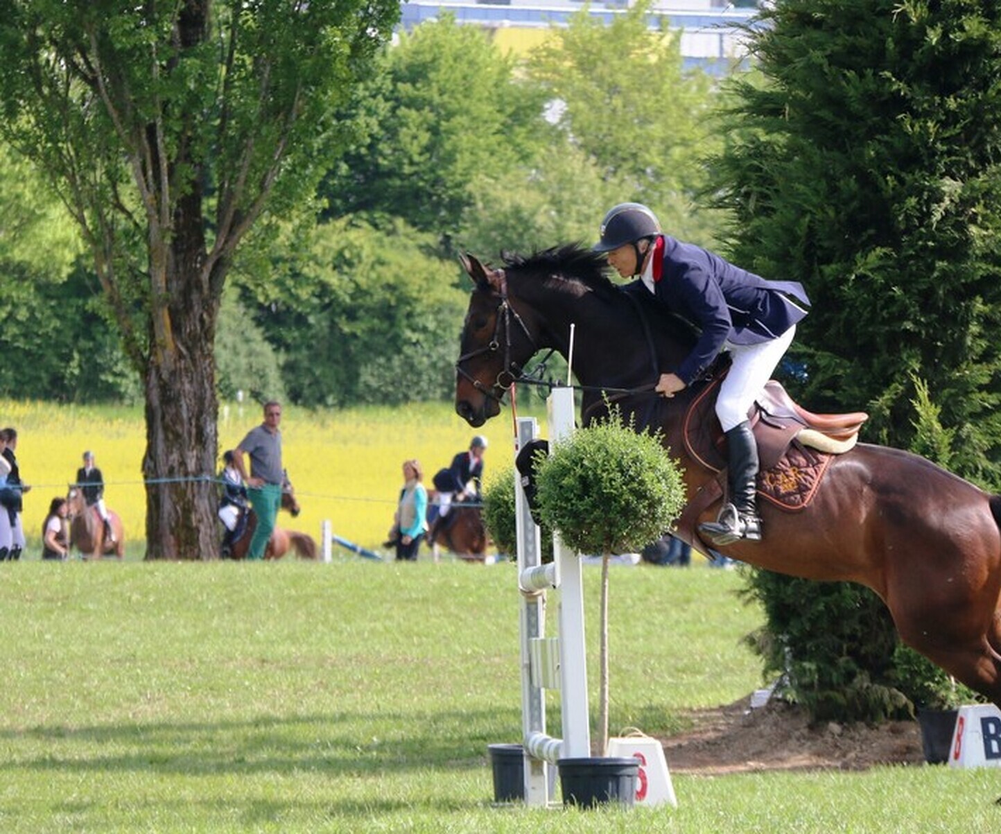 Description de l'image