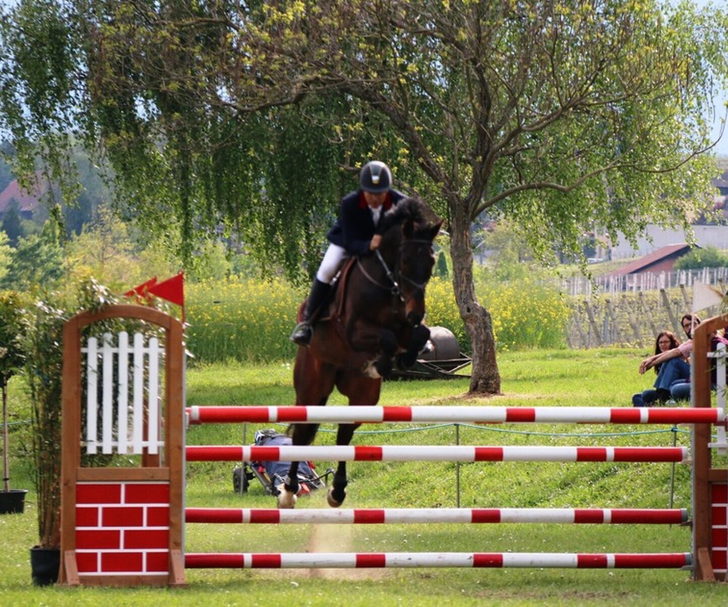 Description de l'image