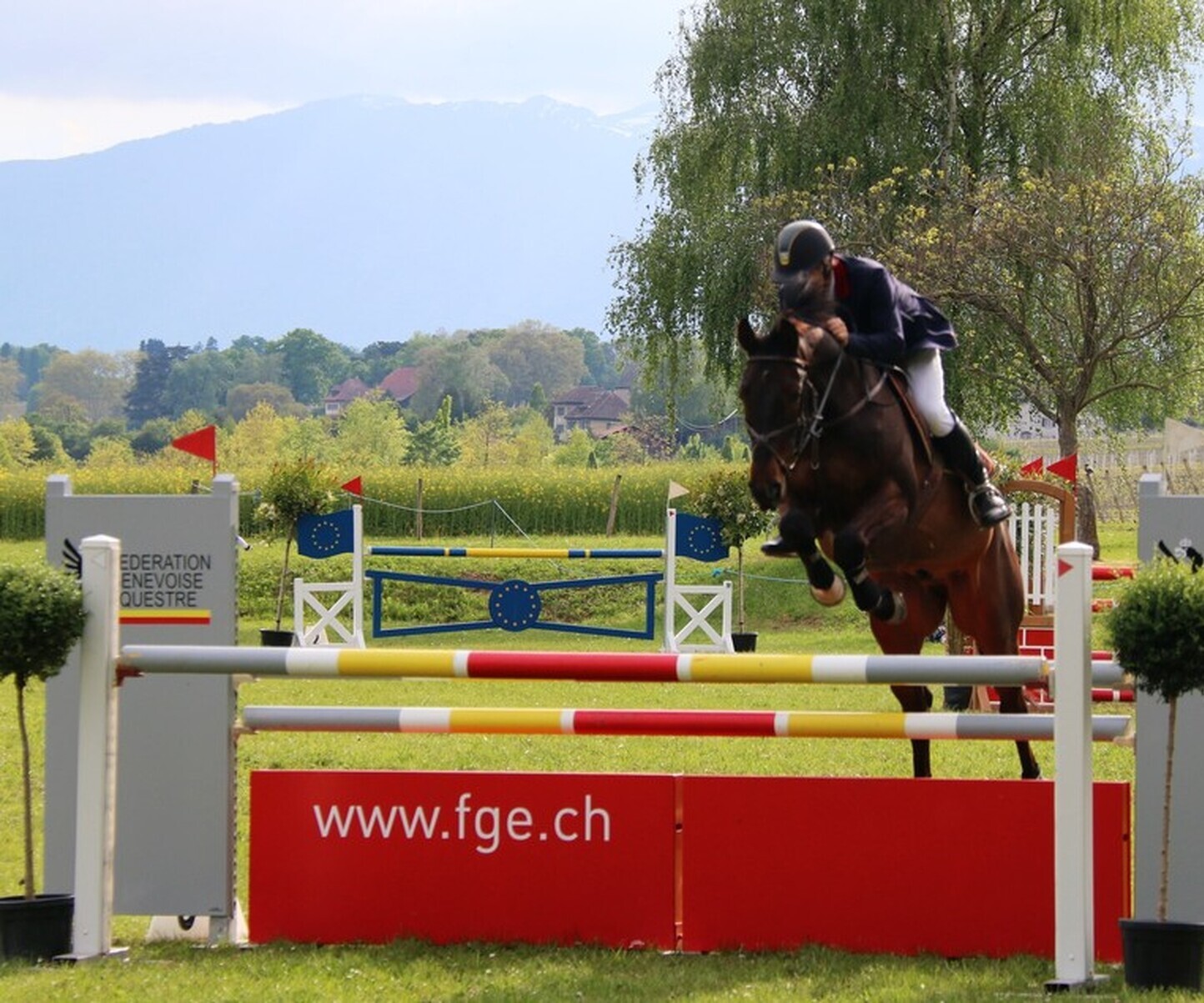 Description de l'image