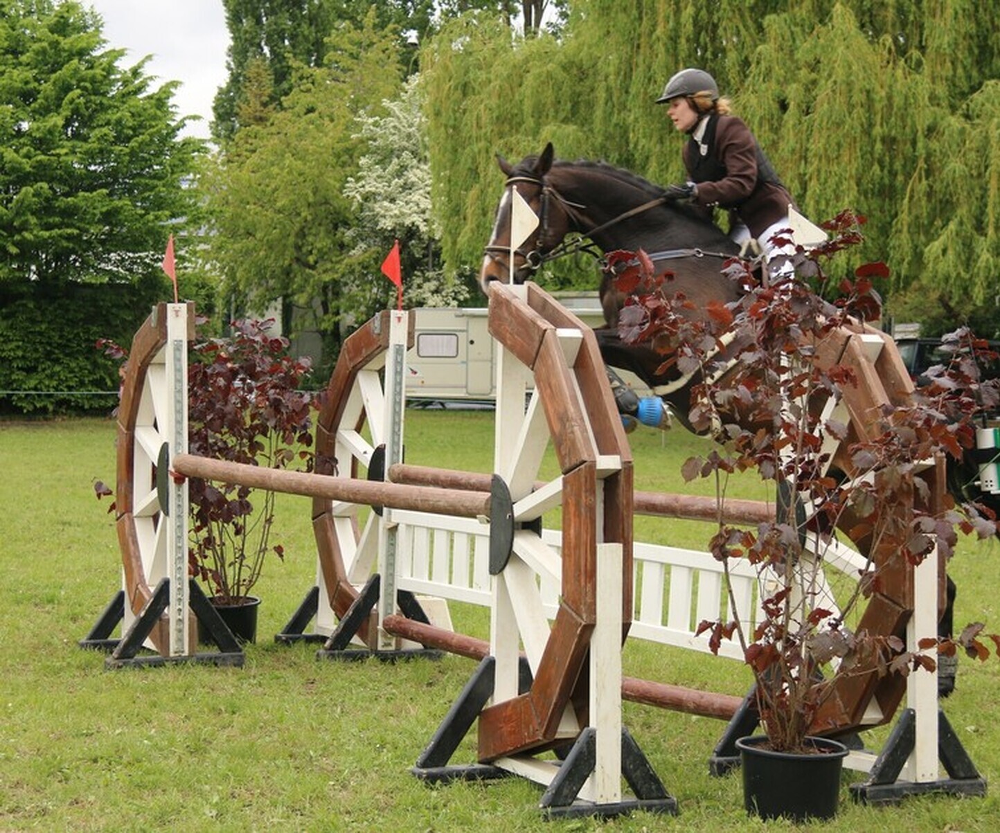 Description de l'image