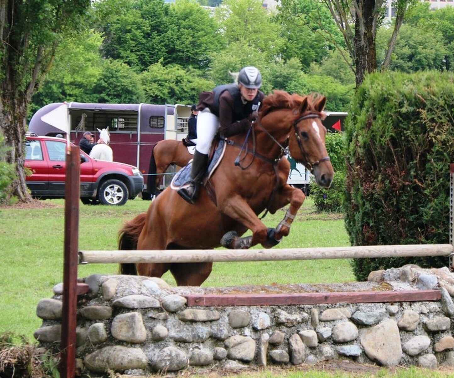 Description de l'image