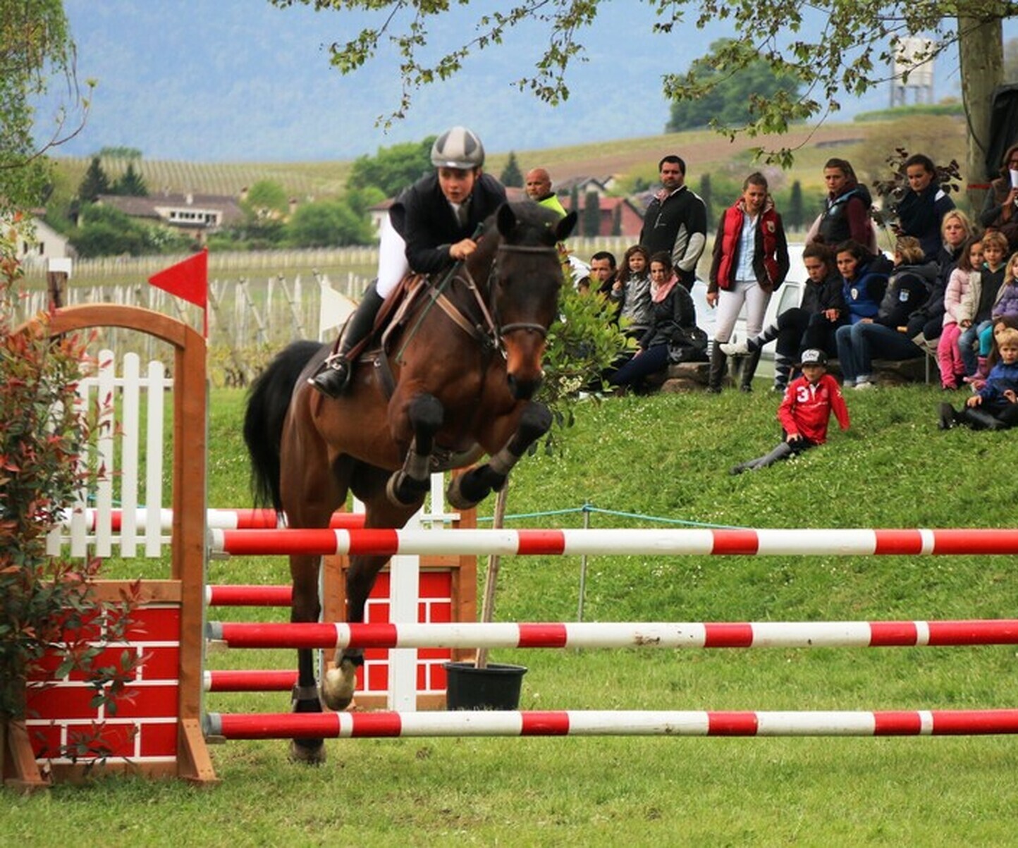 Description de l'image