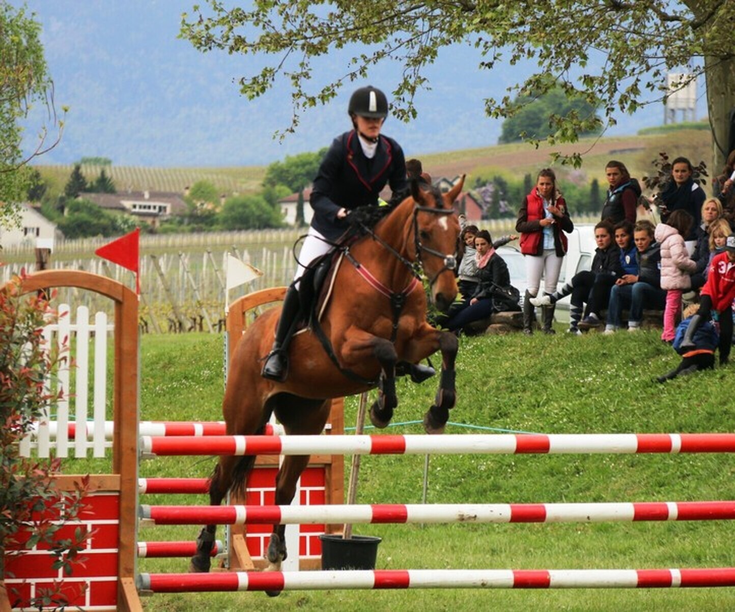 Description de l'image