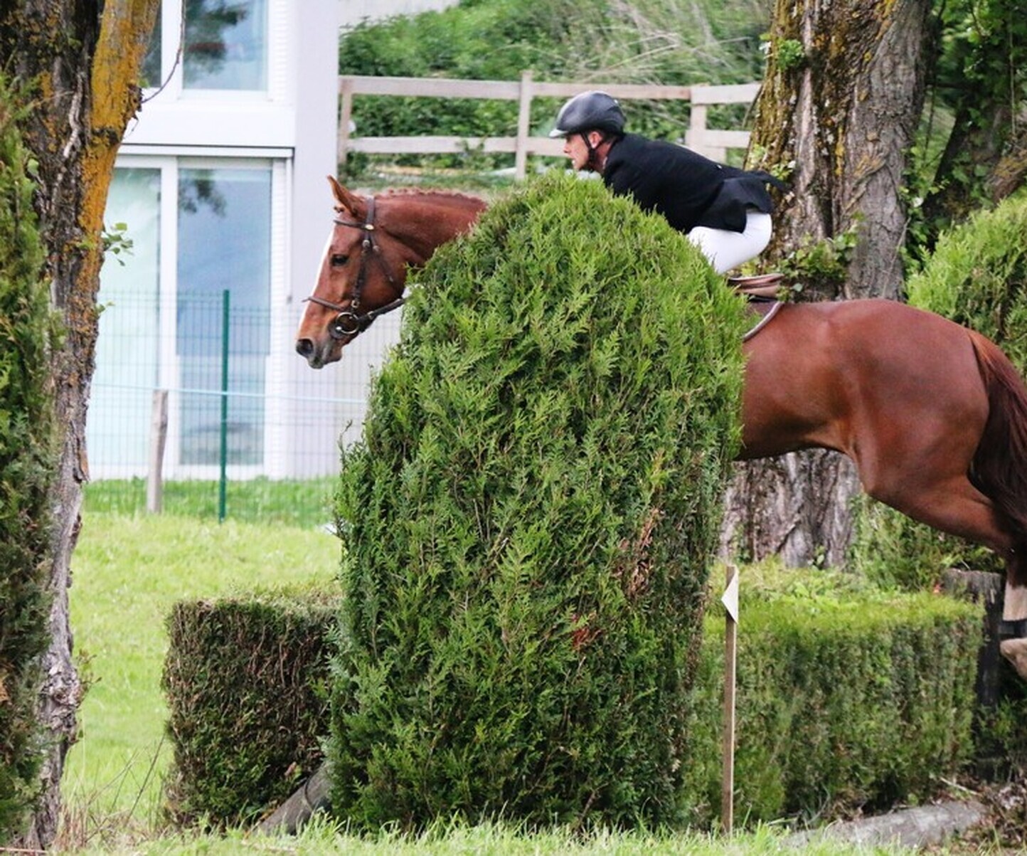 Description de l'image