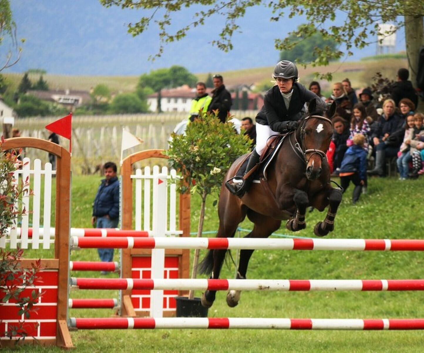 Description de l'image