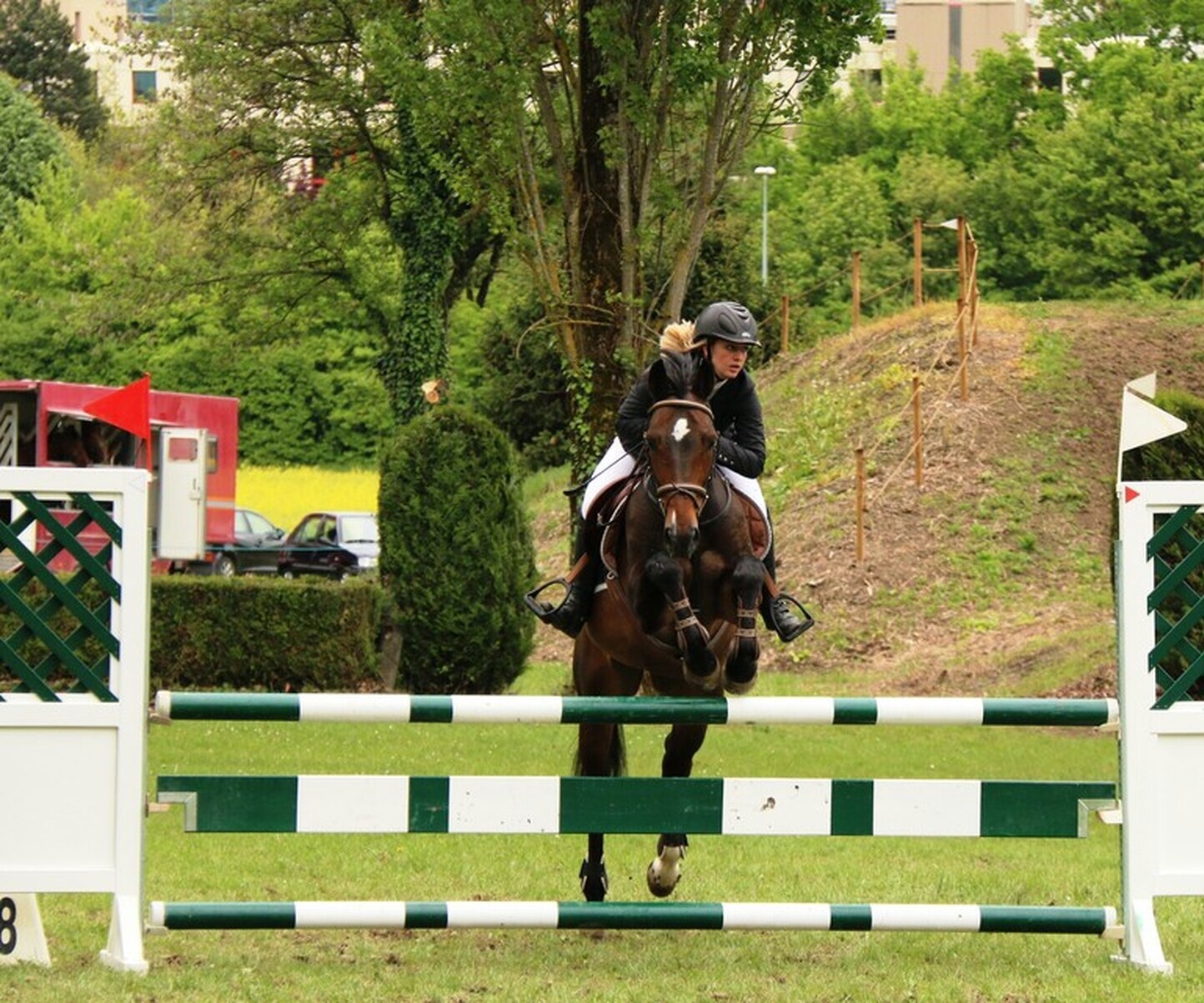 Description de l'image