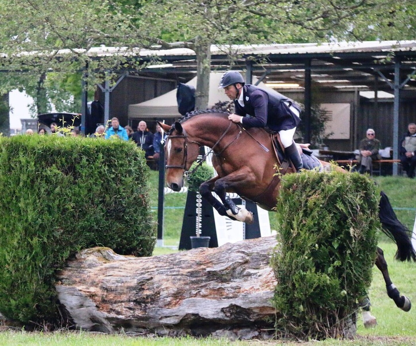 Description de l'image