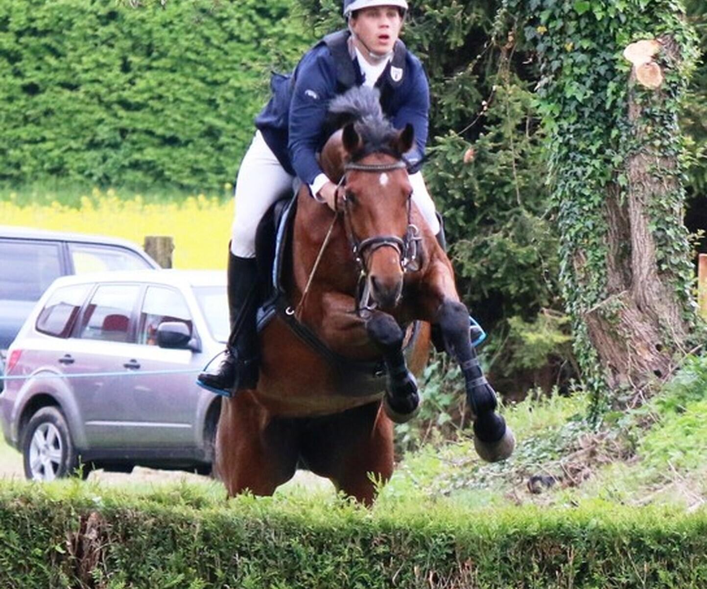 Description de l'image