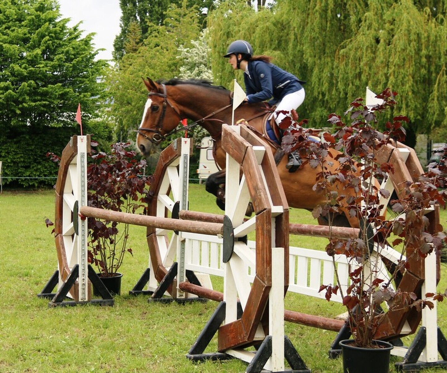 Description de l'image