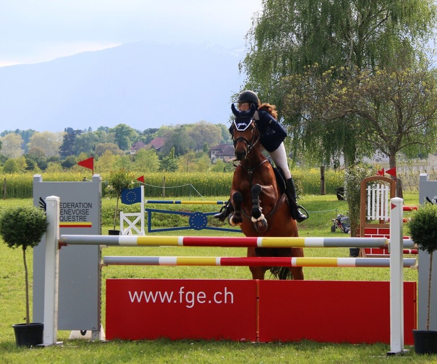 Description de l'image