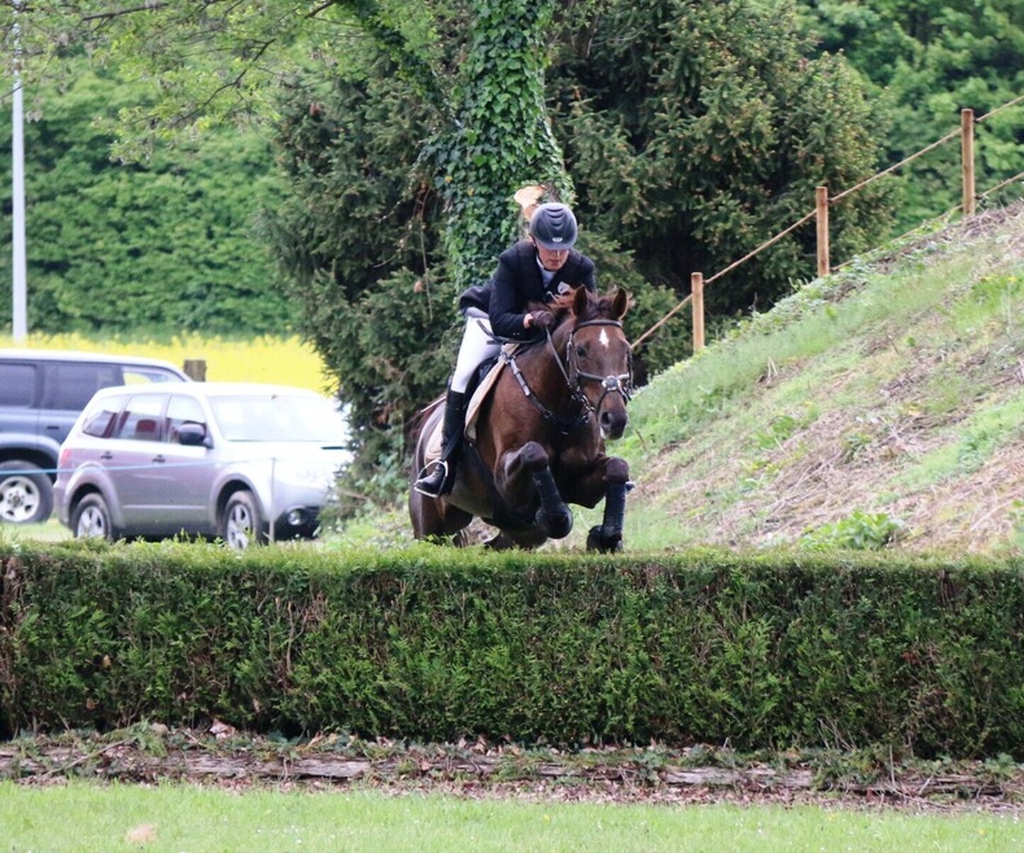 Description de l'image