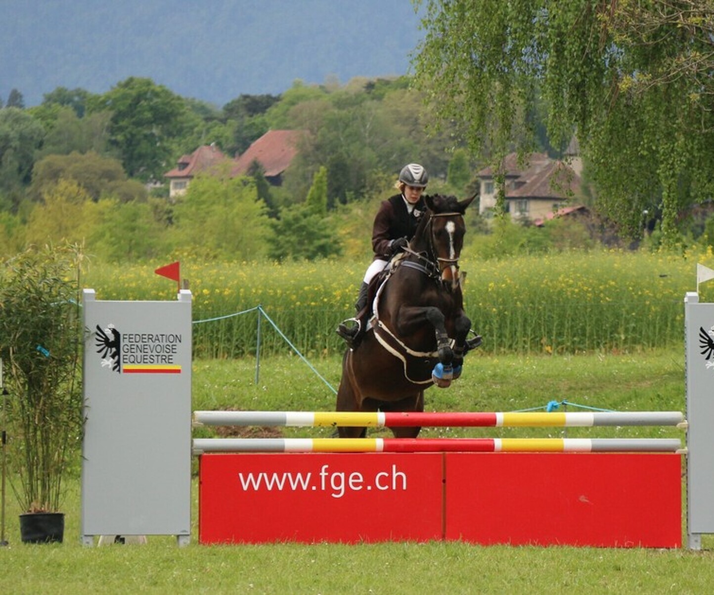 Description de l'image