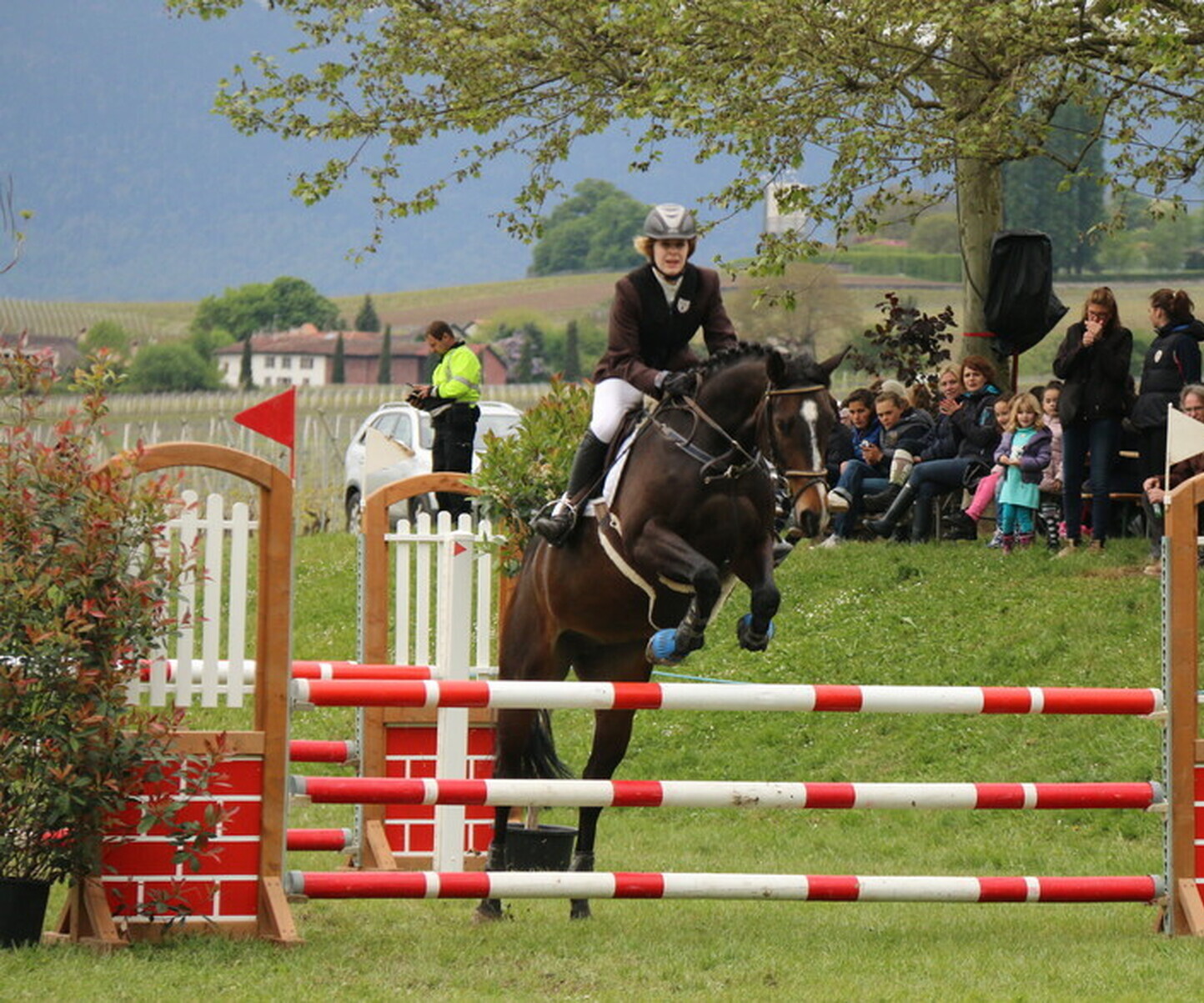 Description de l'image