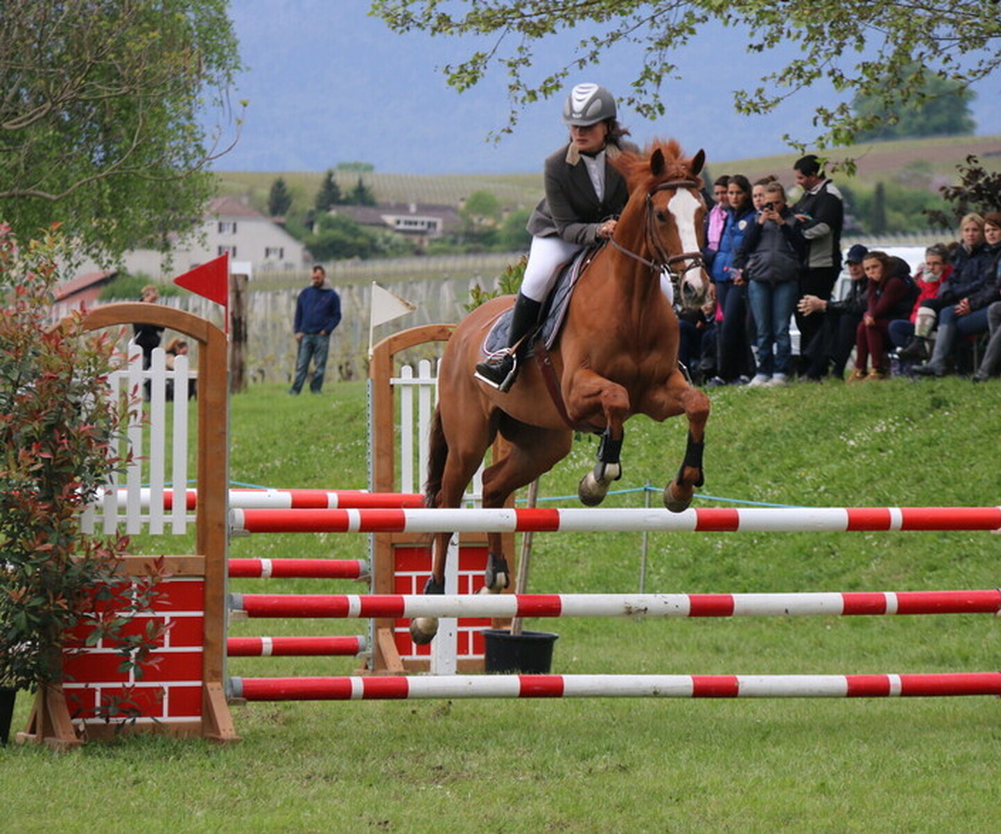 Description de l'image